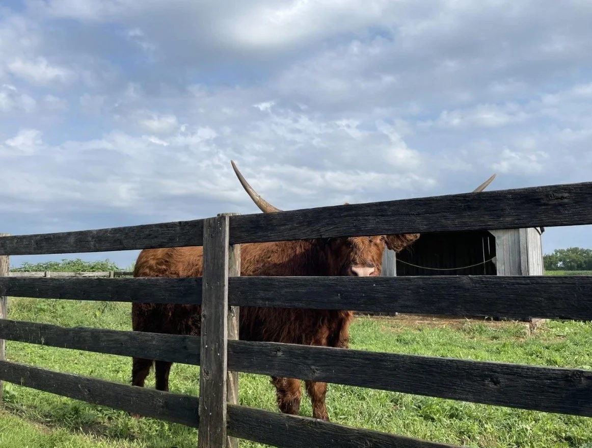 Sips & Snacks | Bellawood Farm | October TBD