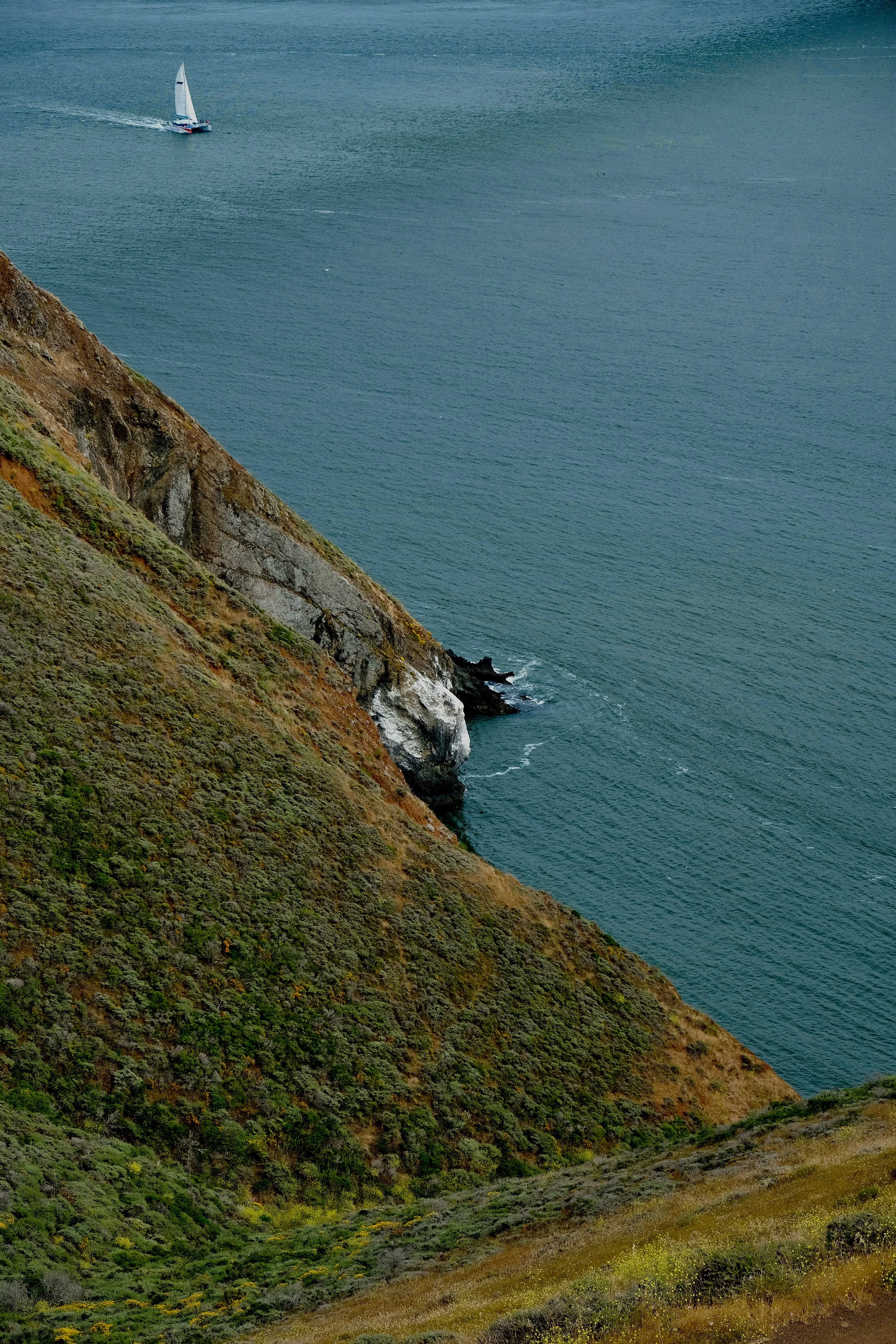 DSCF2367.jpg