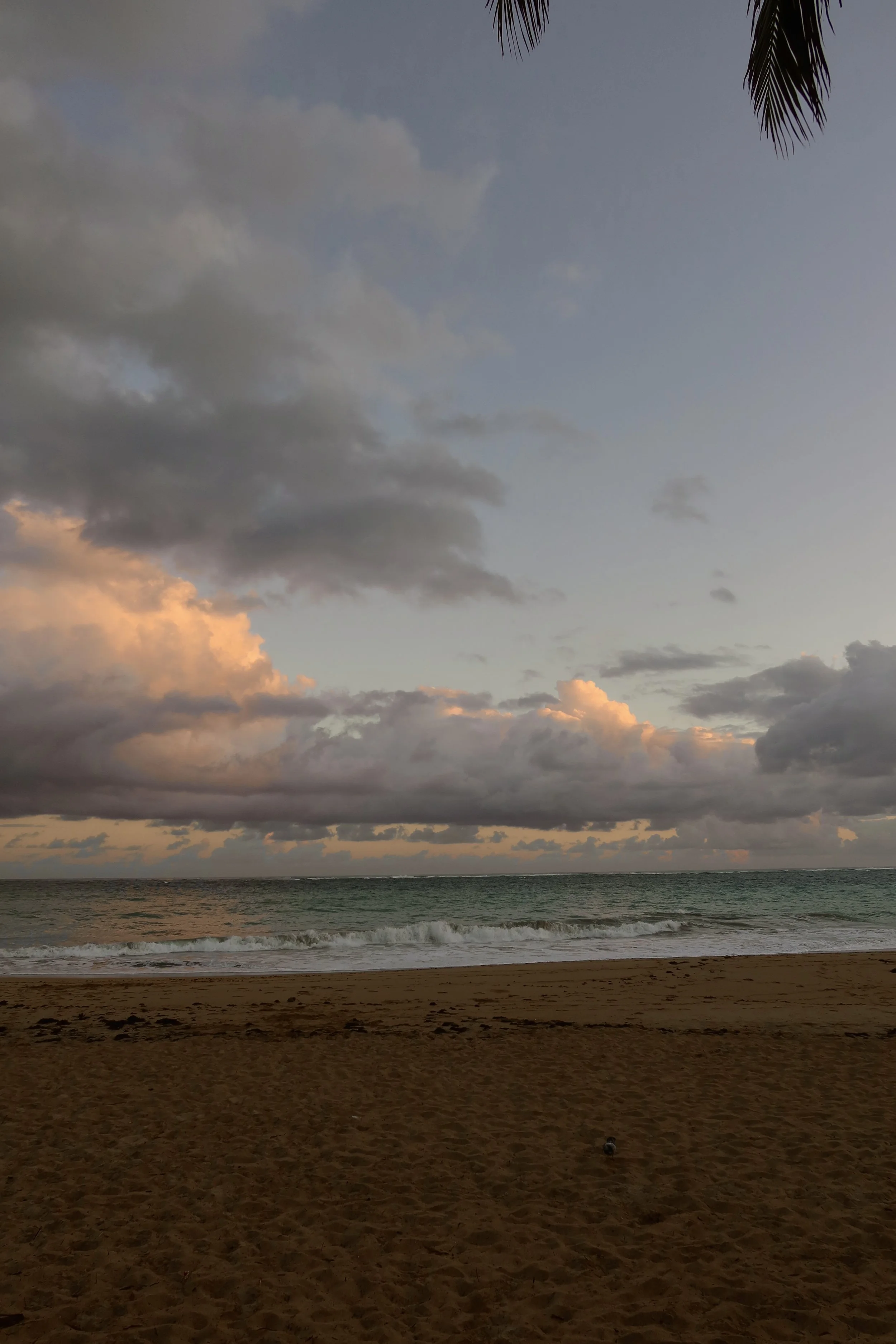 IMG_6977.JPG
