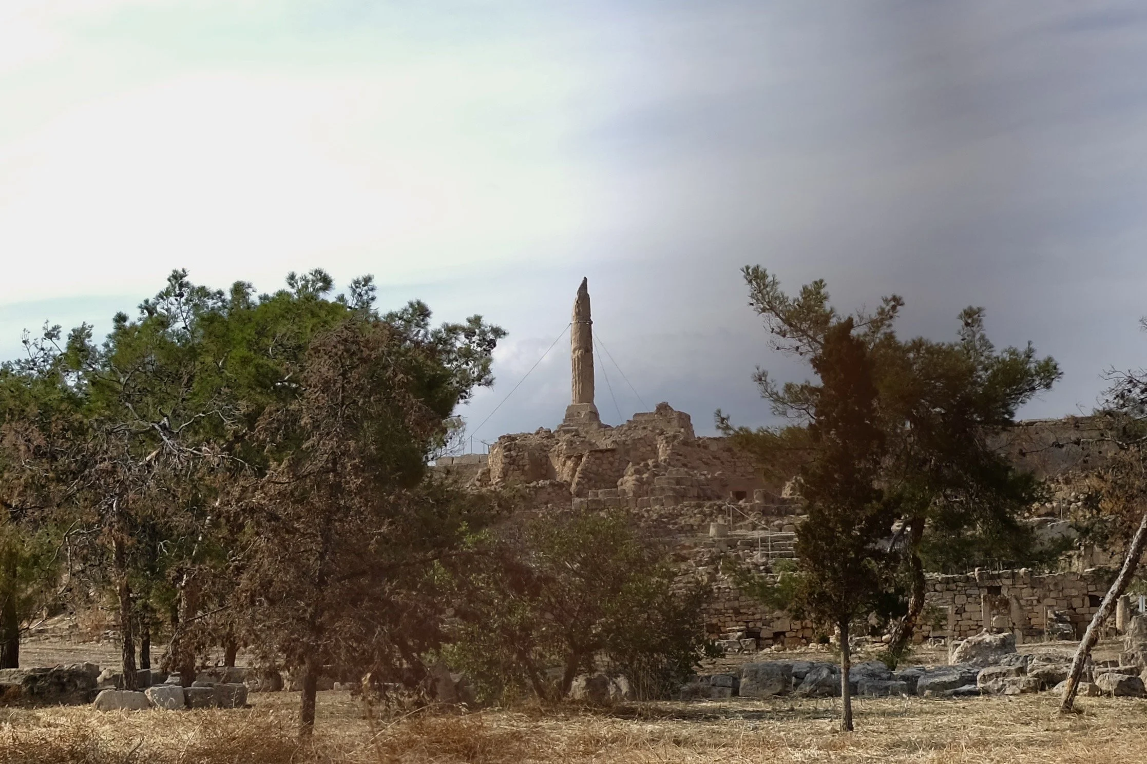 DSCF5592.JPG