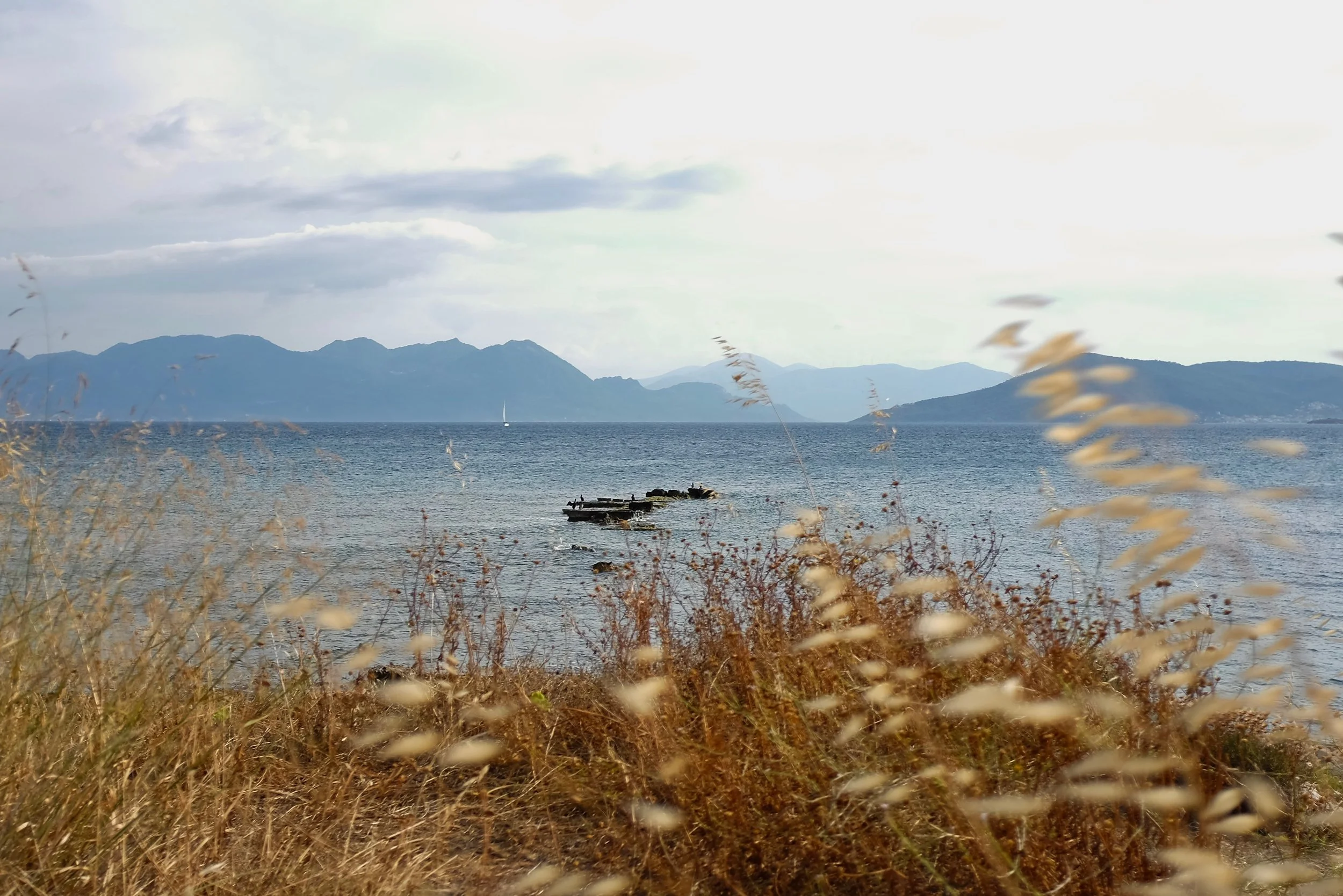 4A0B6240-60FA-40EB-A9A1-00F07F7F5B3C.jpg
