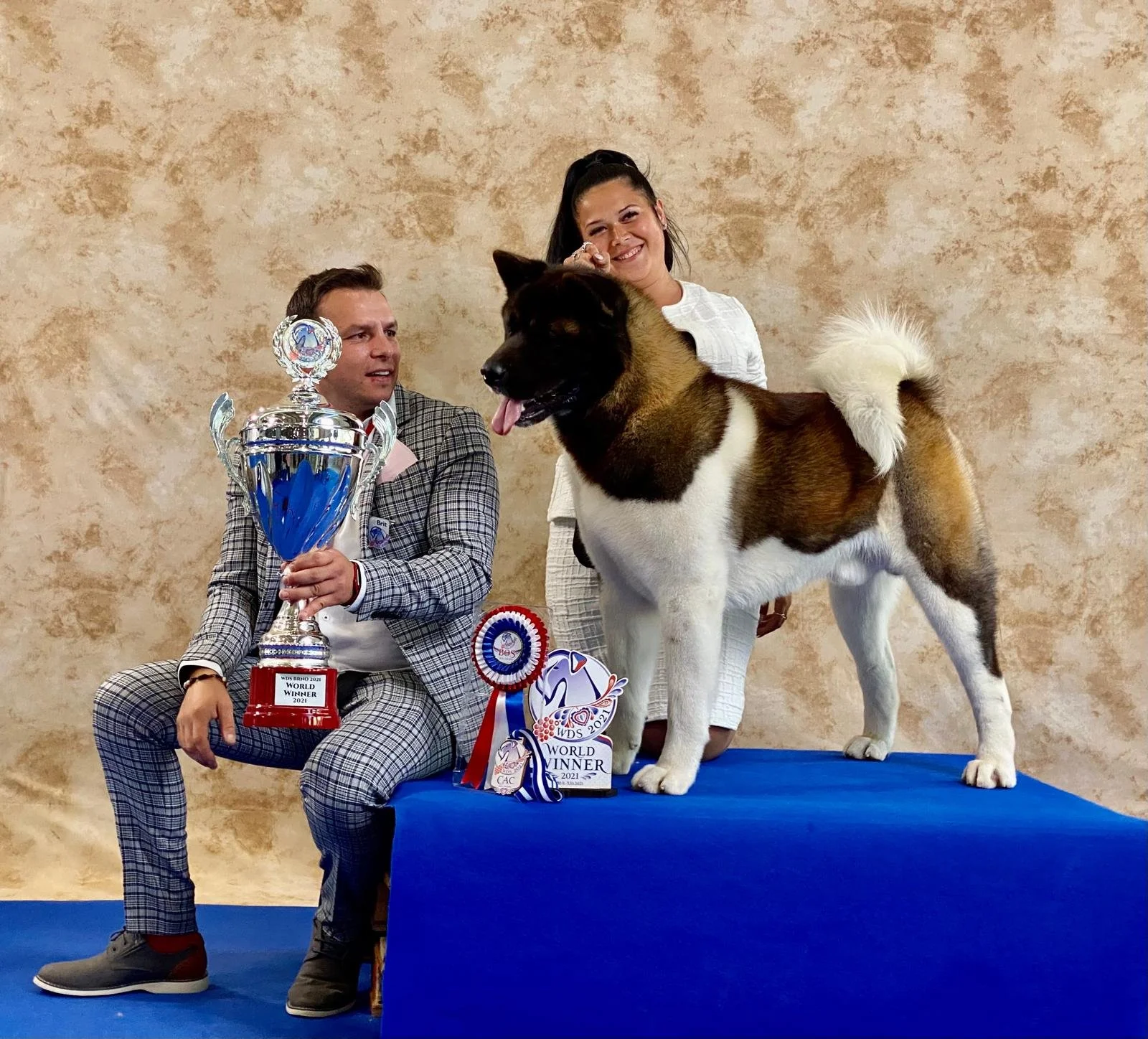 A man and woman celebrate with a large black, brown, and white dog on a blue platform at a dog show. The man holds a trophy, and various ribbons and awards are on the platform. The dog is a big breed, possibly a dog of the Akita or similar breed, and appears to be a champion.
