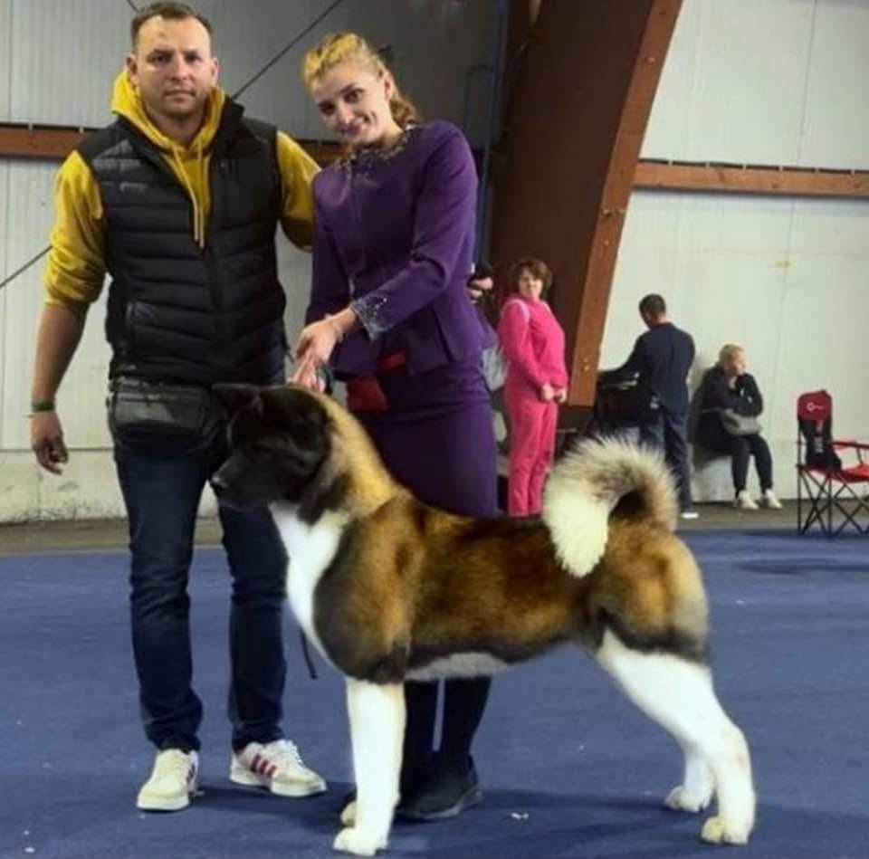 A woman and a man posing with a large fluffy dog indoors at a dog show. The woman is holding the dog, which has a thick coat and a curled tail, while the man stands next to them. In the background, several people are sitting or standing, and some are watching the event.