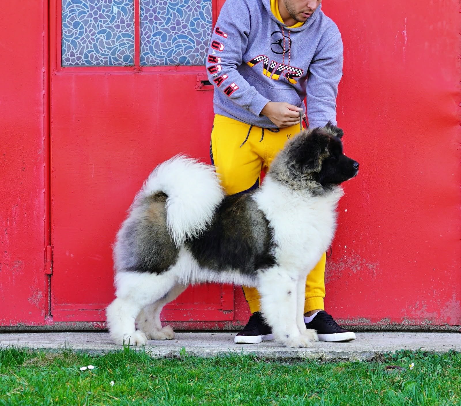 A person standing outdoors in front of a red door, with a large fluffy dog sitting beside them. The person is wearing a gray hoodie and bright yellow pants, while the dog is black, white, and gray with a thick coat.