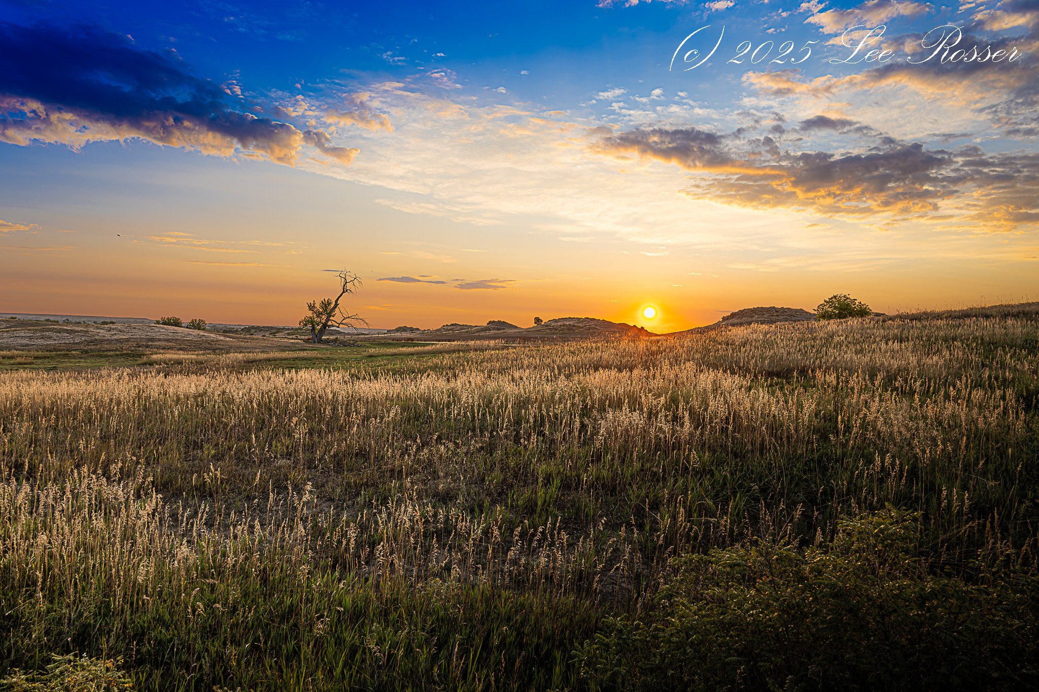 A landscape with grassy fields, a small tree, and hills in the background during sunset, with a partly cloudy sky.