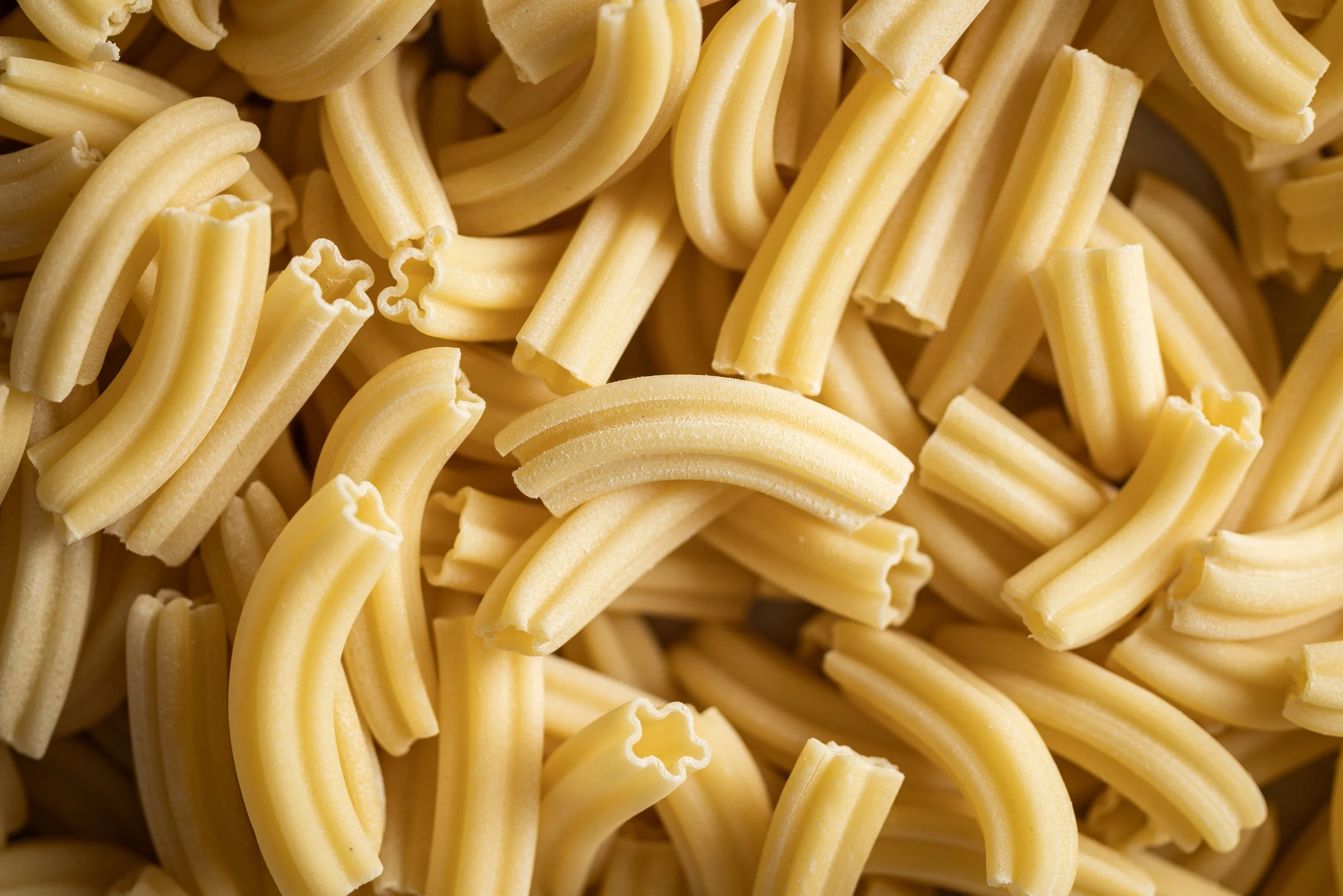 Close-up of dried pasta shapes, including rigatoni and conchiglie.