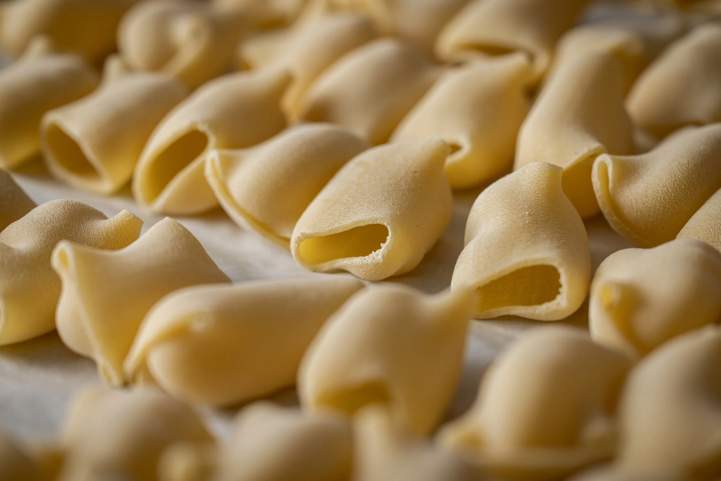 Close-up of uncooked pasta shells on a surface.
