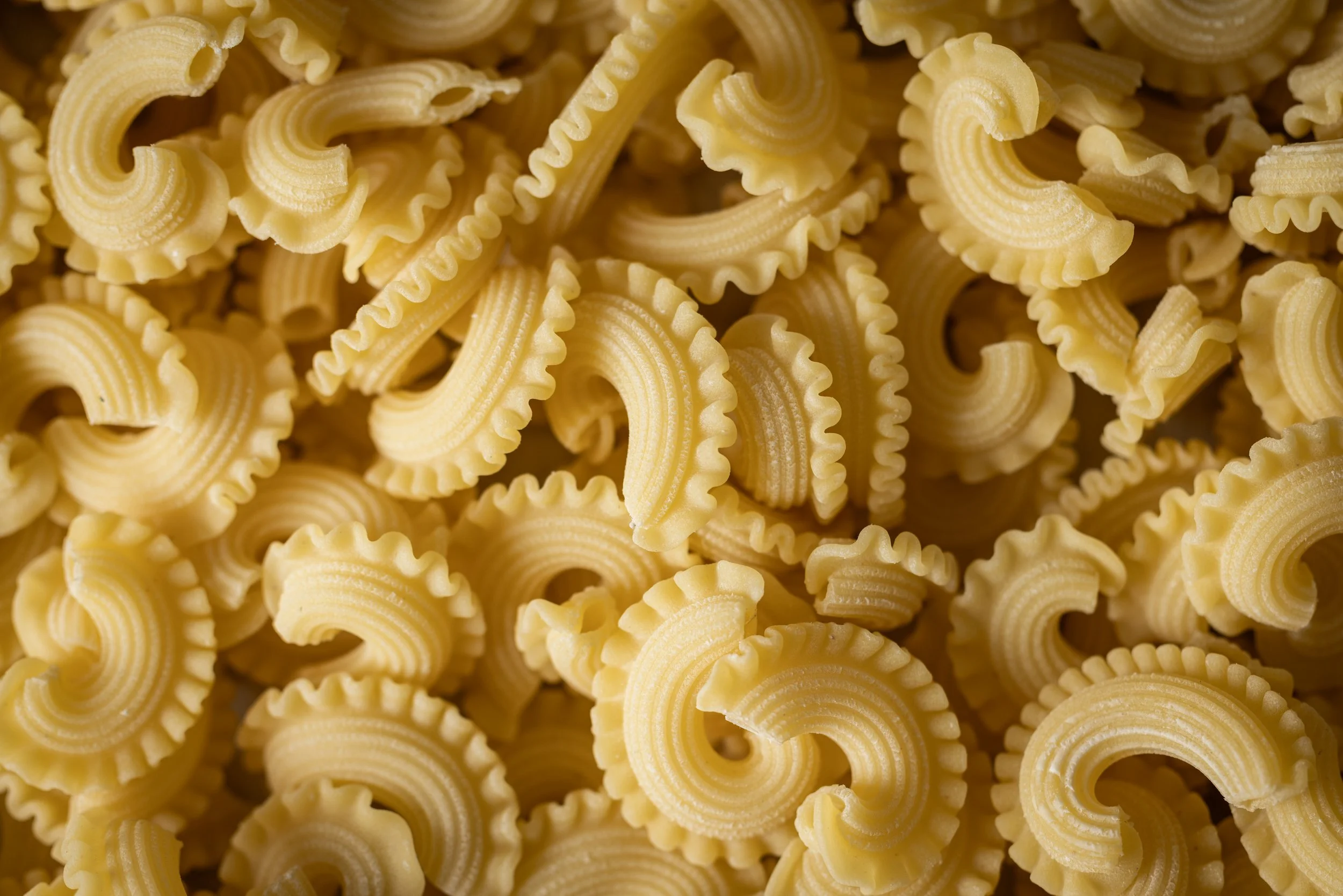 Close-up of dried pasta with spiral and ridged shapes.