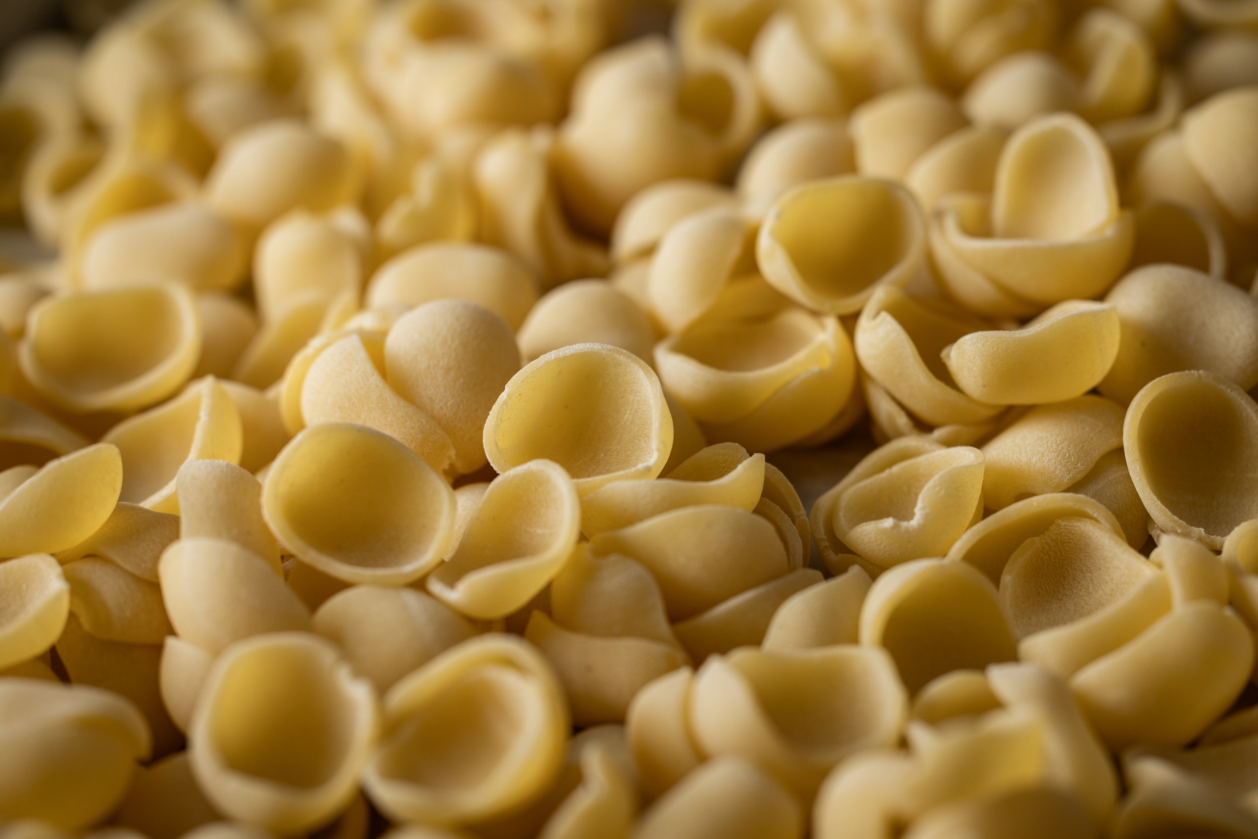 Close-up of uncooked pasta shells.