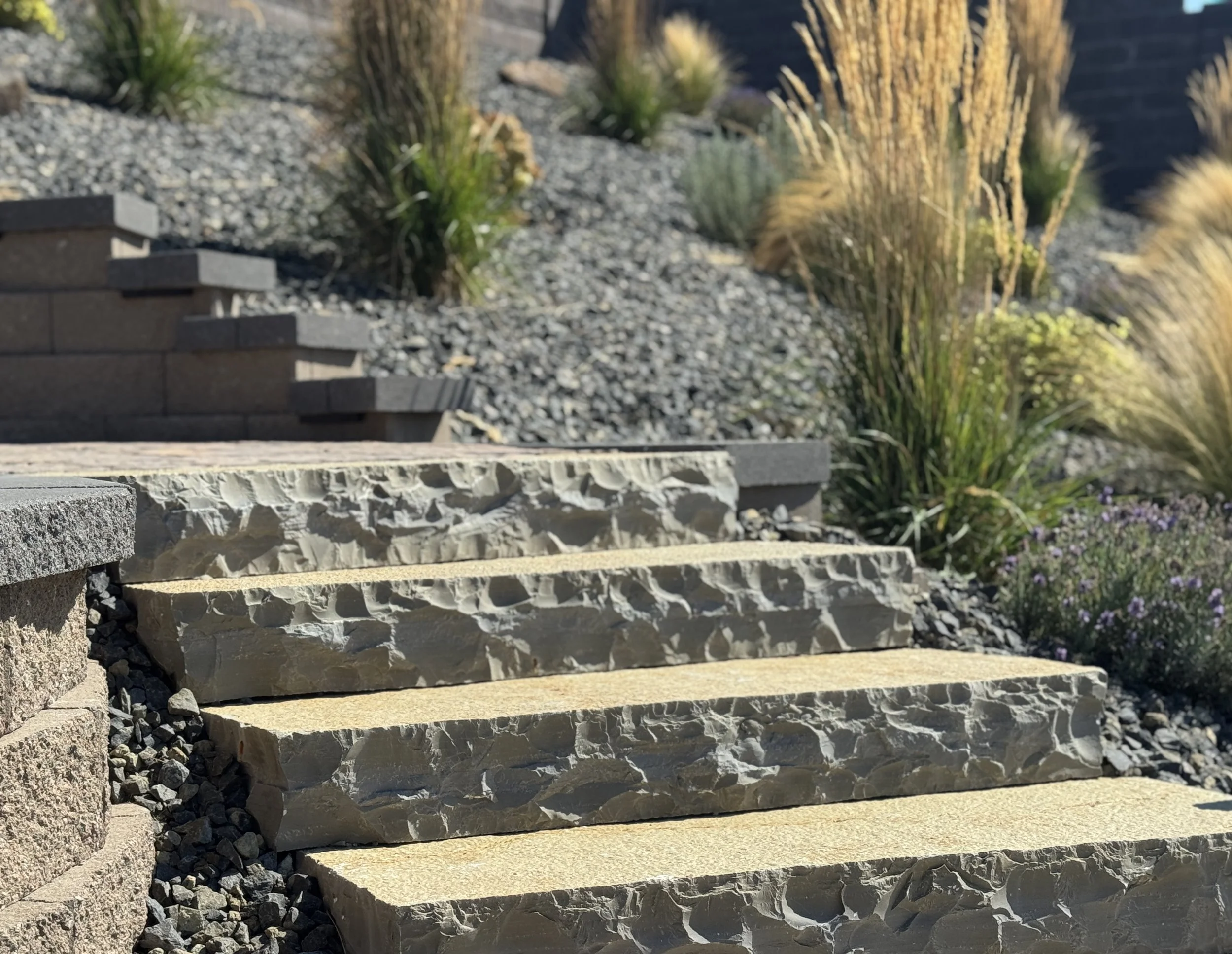 A landscape with stone steps, gravel, and desert plants such as pampas grass, in a sunny outdoor setting.