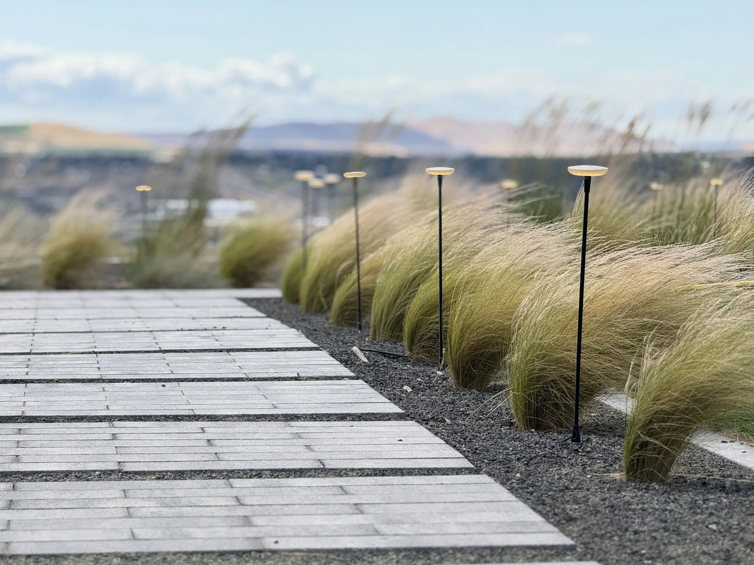 A paved pathway with modern black light fixtures along the side, bordered by ornamental grasses, with a blurred landscape in the background.