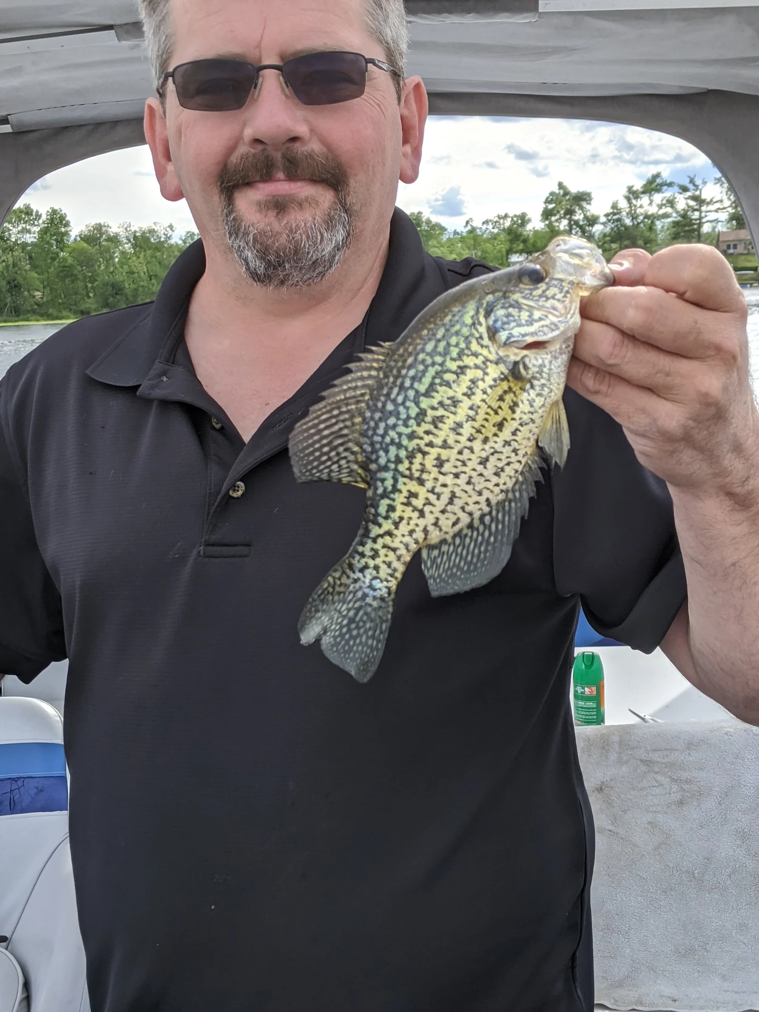 A man wearing sunglasses and a black shirt holding a fish with yellow and black markings, near a body of water with trees in the background.