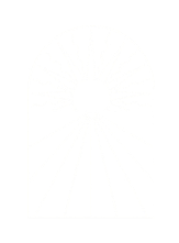 Road Openings