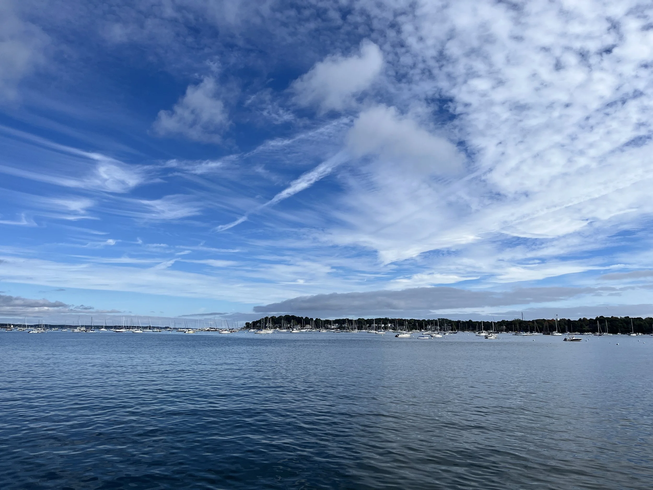 IMG_6445.JPG