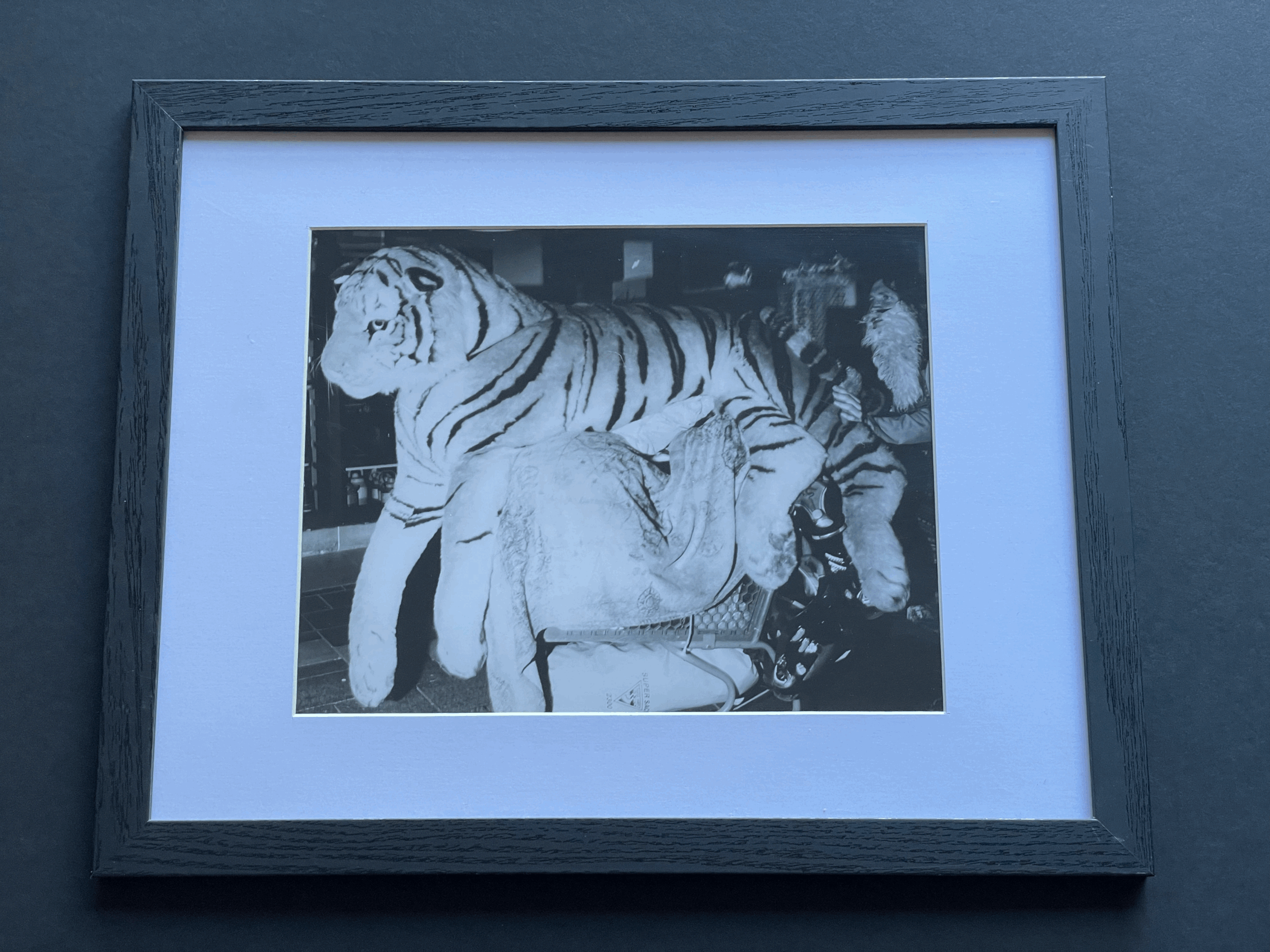 FRAMED 8x10" PRINT