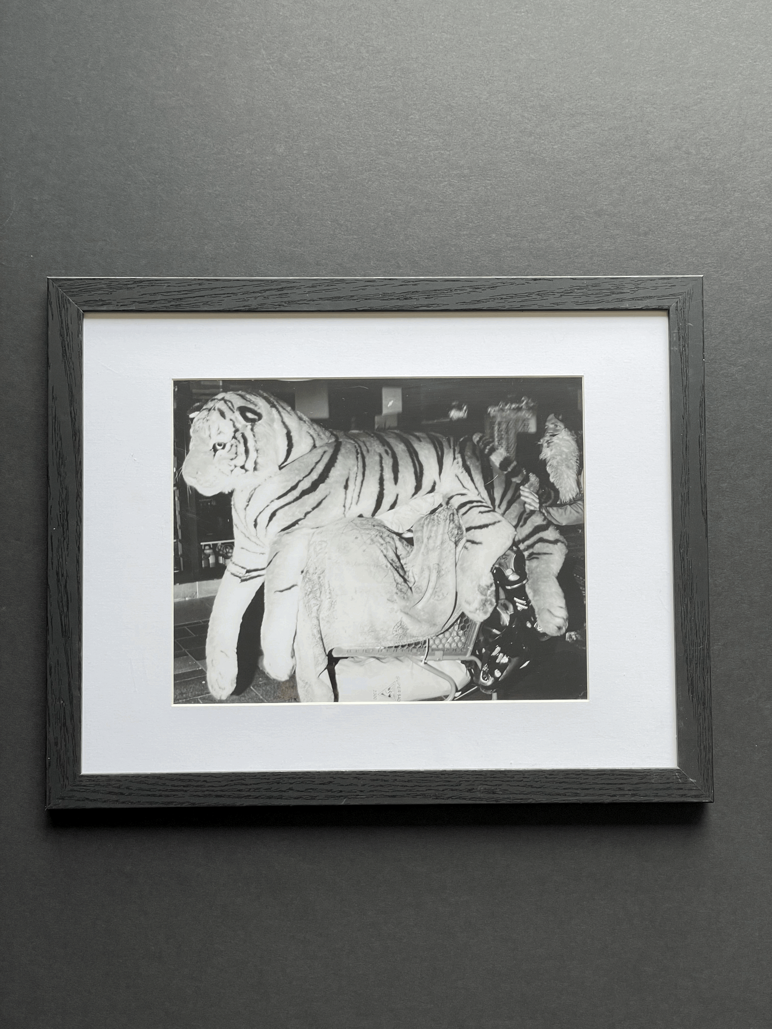 FRAMED PRINT