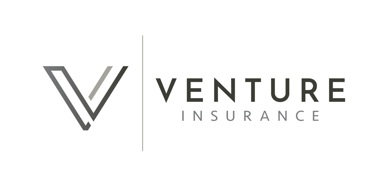 VENTURE INSURANCE