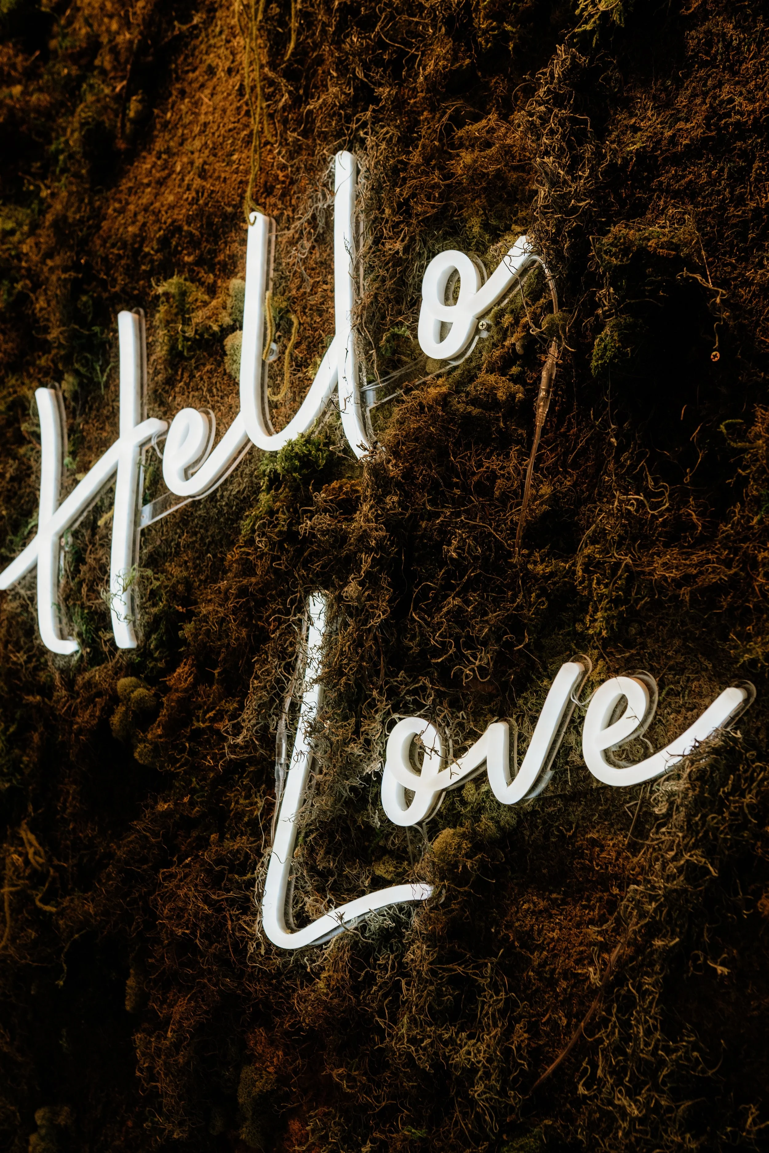 Close-up of a neon sign that reads 'hello love' mounted on a wall covered with moss and plants.