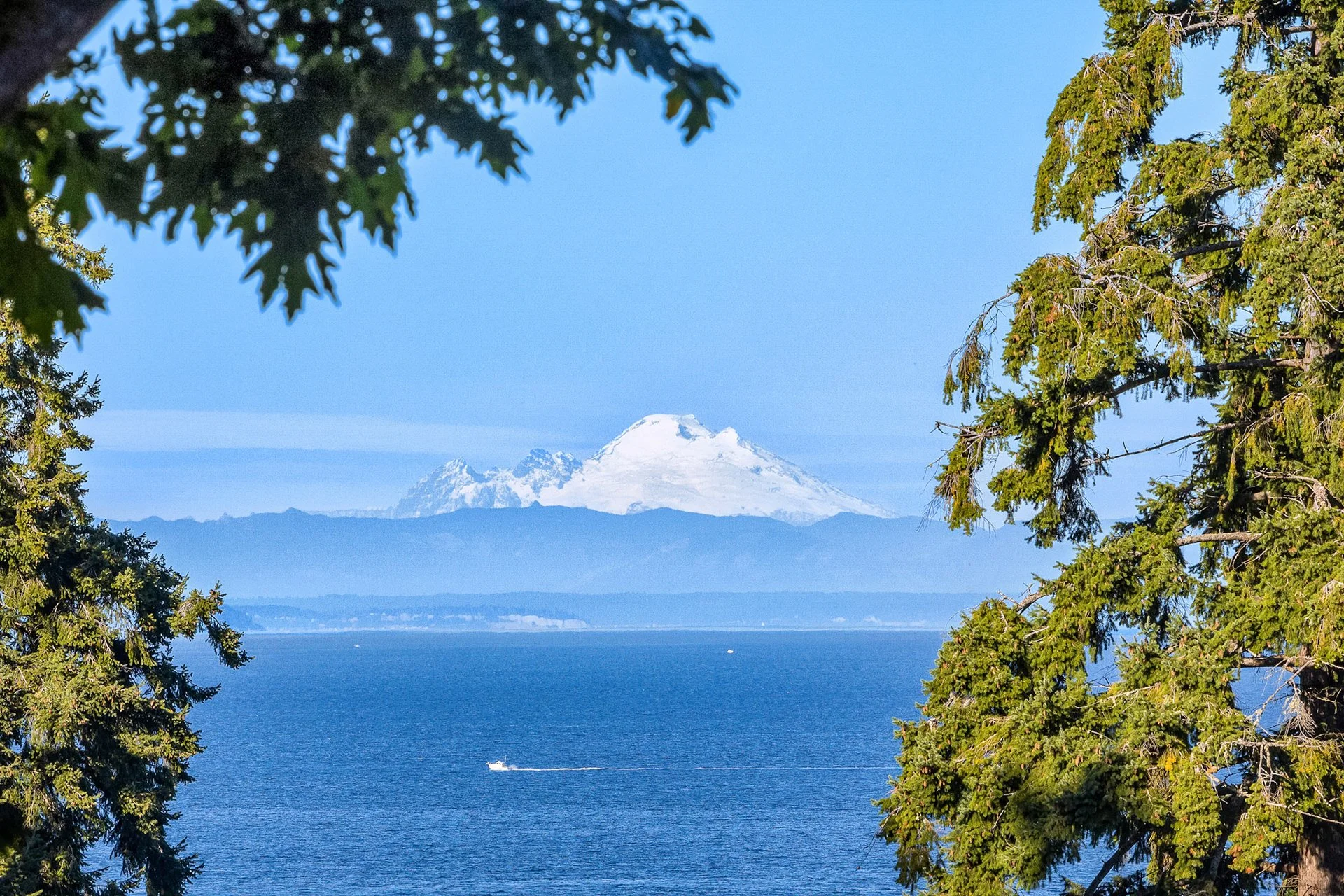 A scenic view of Mount Rainier with a snow-capped peak set against a blue sky, framed by green pine trees, with a body of water and a boat in the foreground.