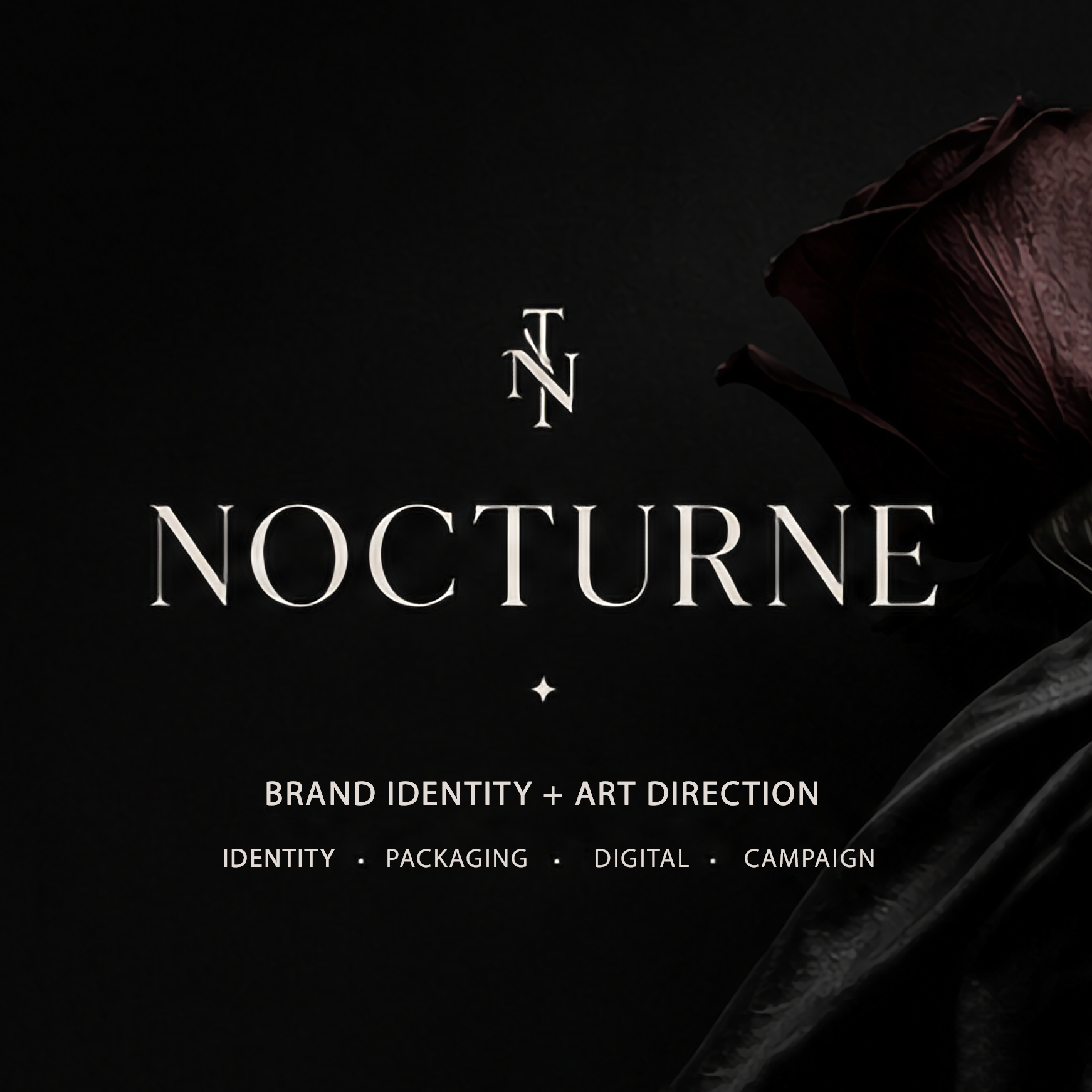 nocturne_slide_1_edit_2.png