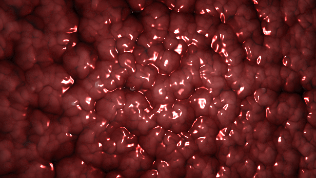 83d51238-5c15-4a7b-8f0f-0b3f3325268f_rw_1920.gif