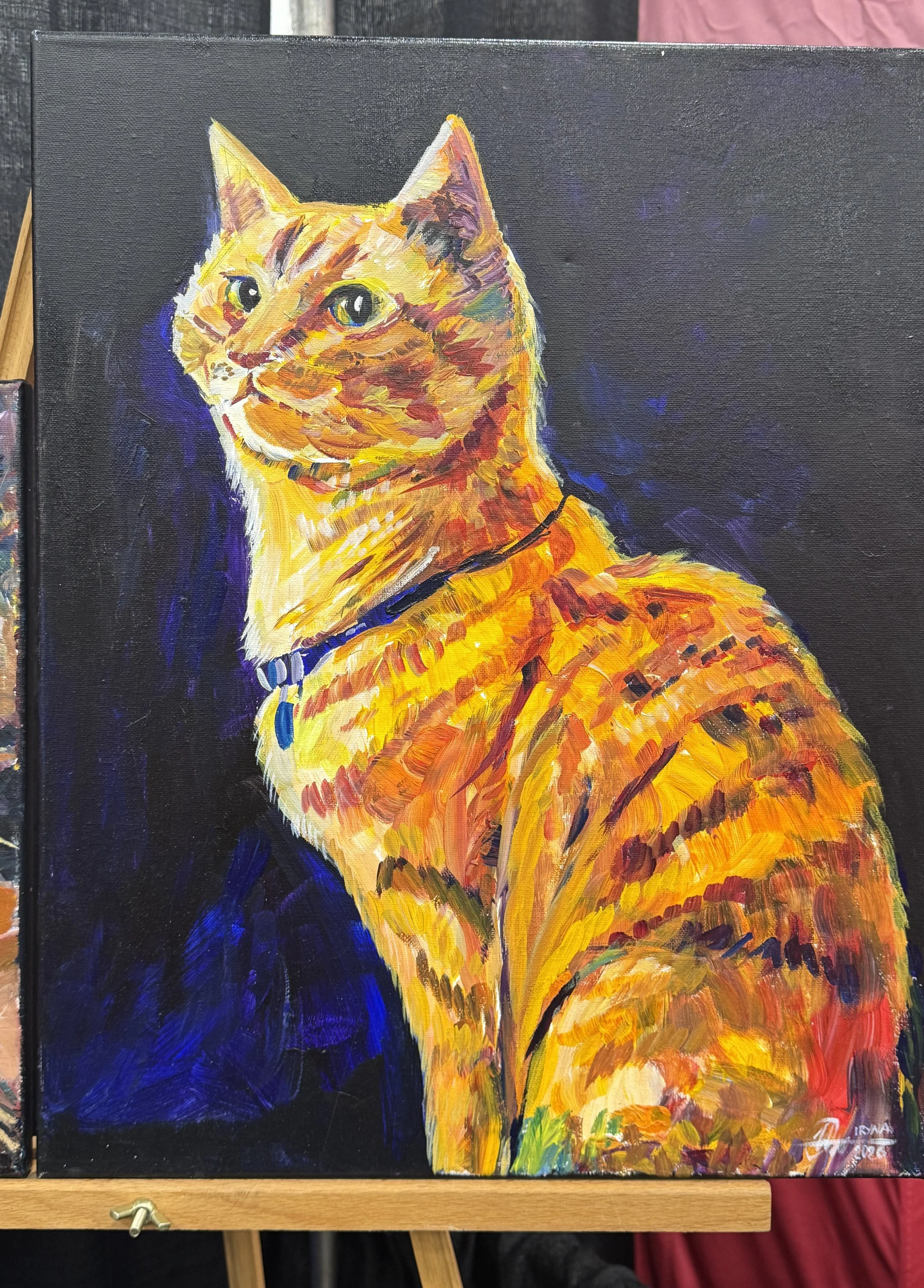 Beautiful Cat - Original Art