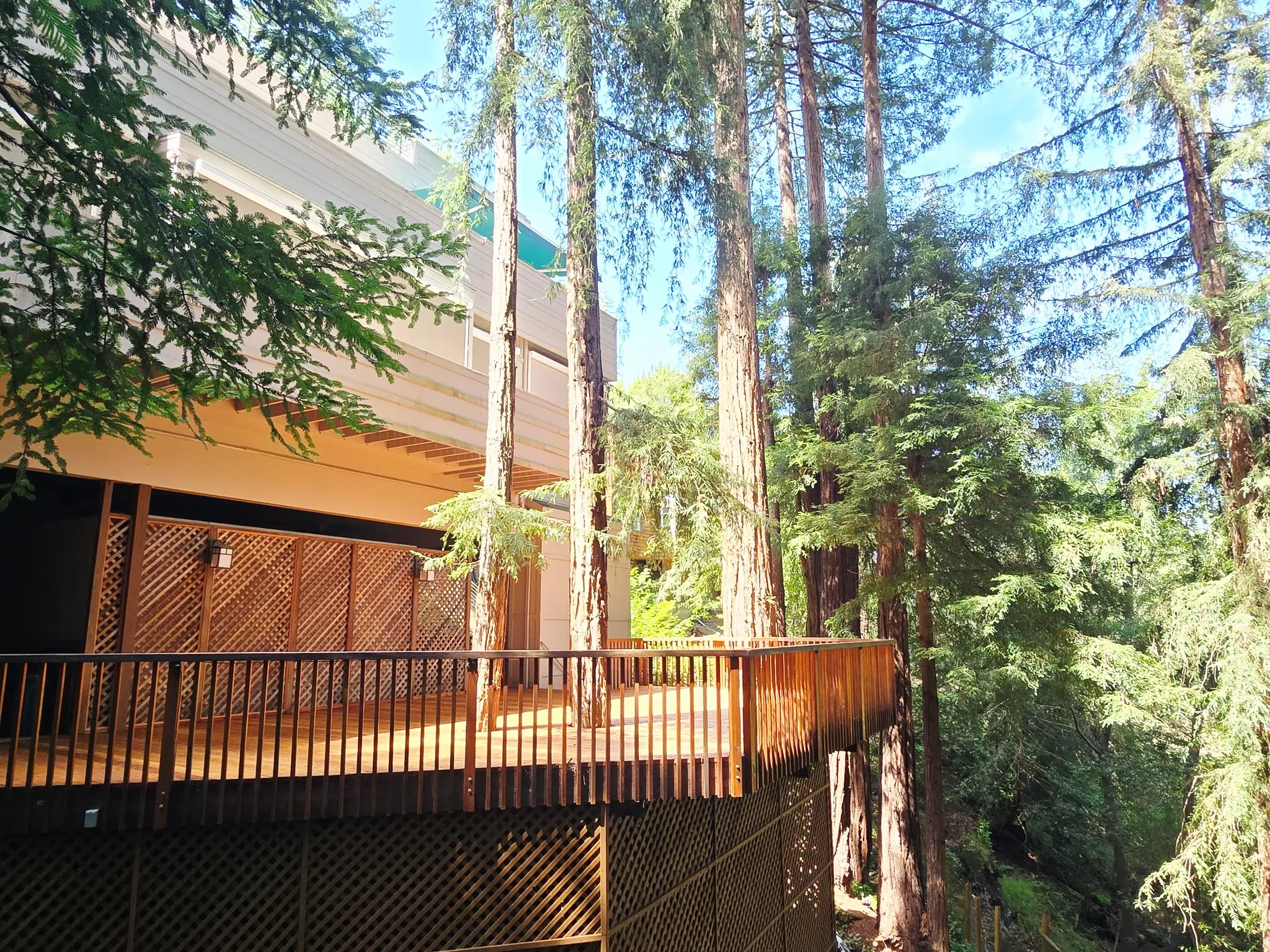 Deck 1.webp