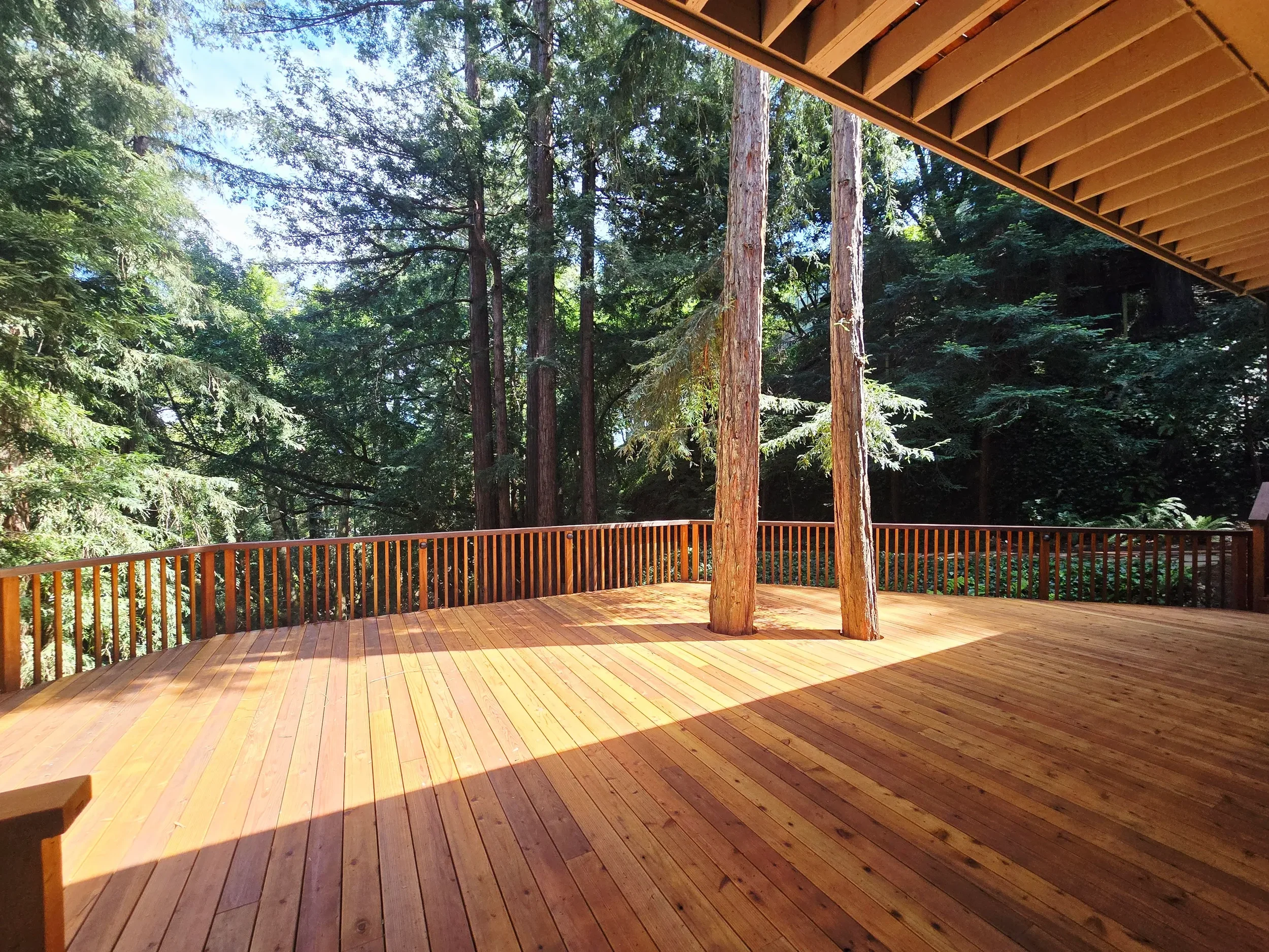Deck 2.webp