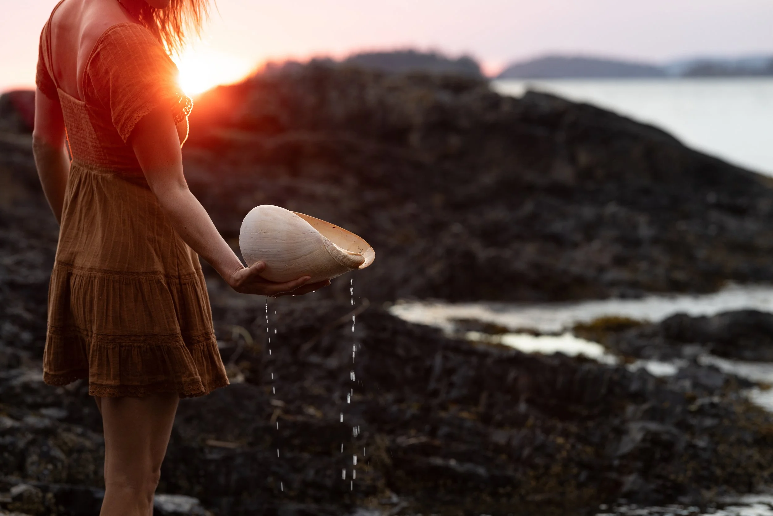 A person holding a seashell on a rocky beach at sunset, with water in the background and the sun setting behind them.