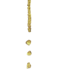 A vertical line of five yellowish-brown popcorn kernels falling against a black background.
