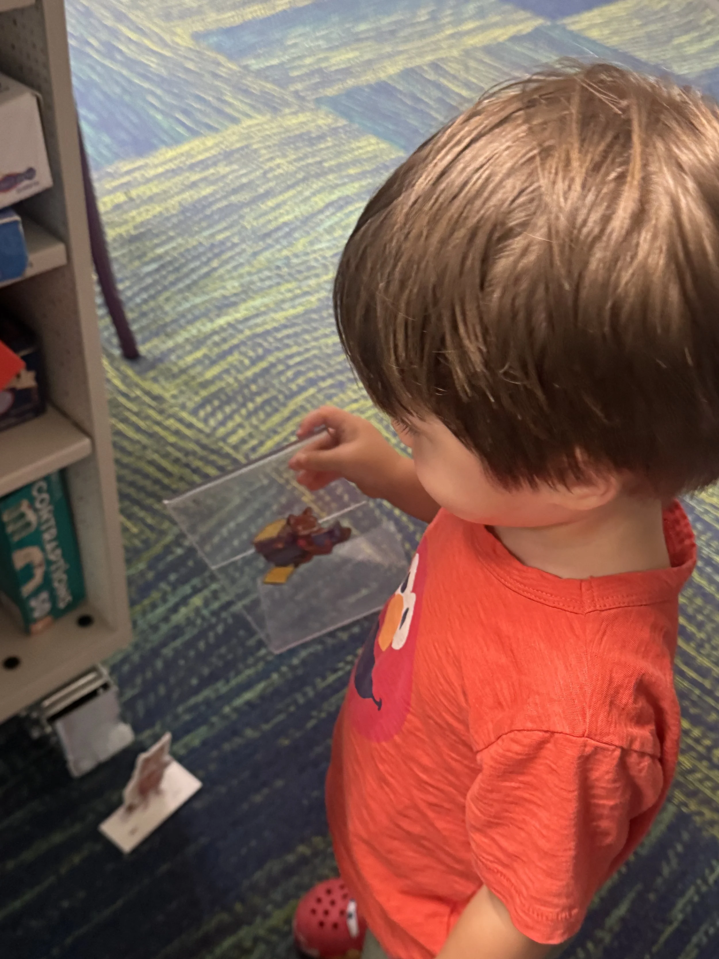 A young child with brown hair wearing a red T-shirt standing in front of a bookshelf in a library.