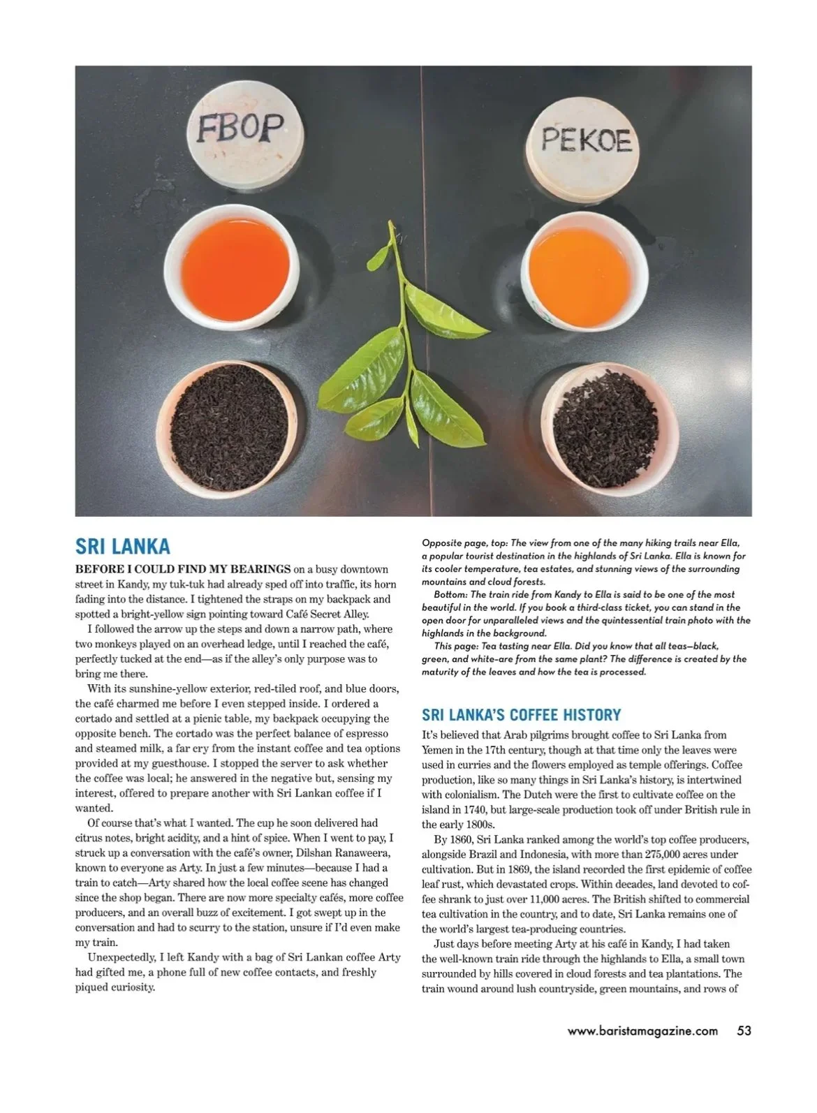 sri lanka beginning.webp
