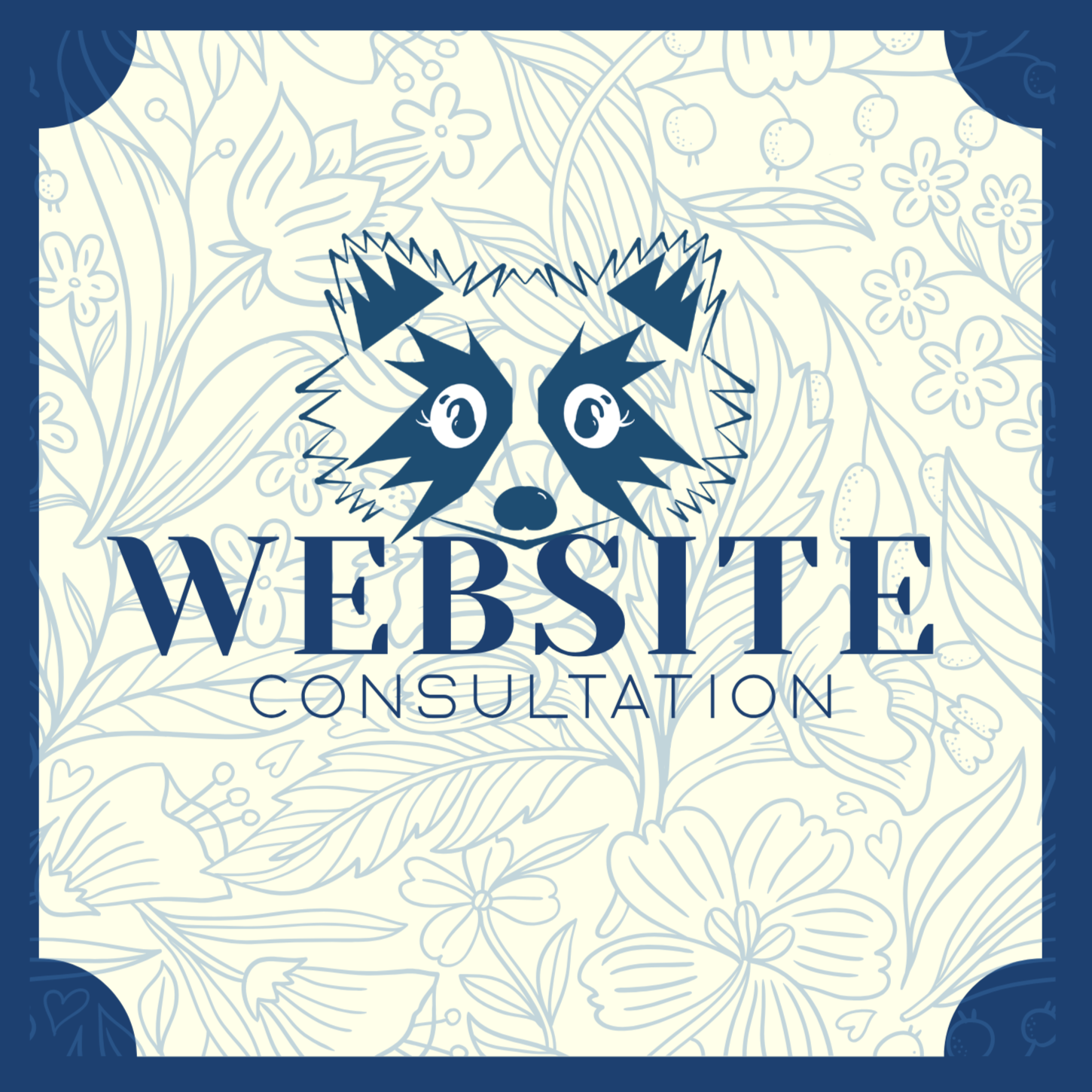 Website Consultation