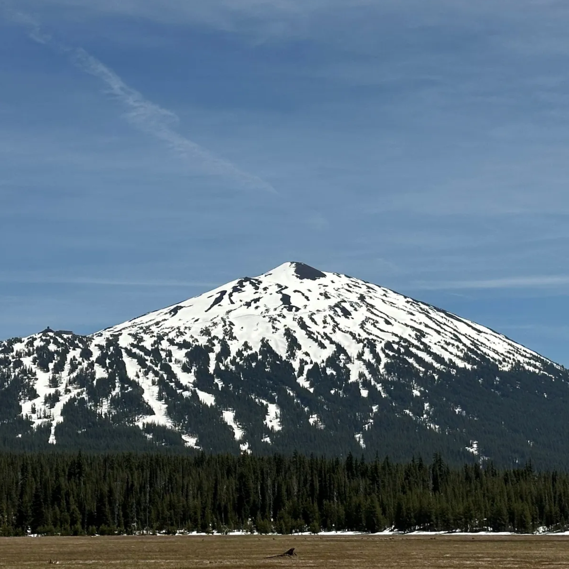 Snow-capped mountain with forested slopes and a flat foreground under a partly cloudy sky.