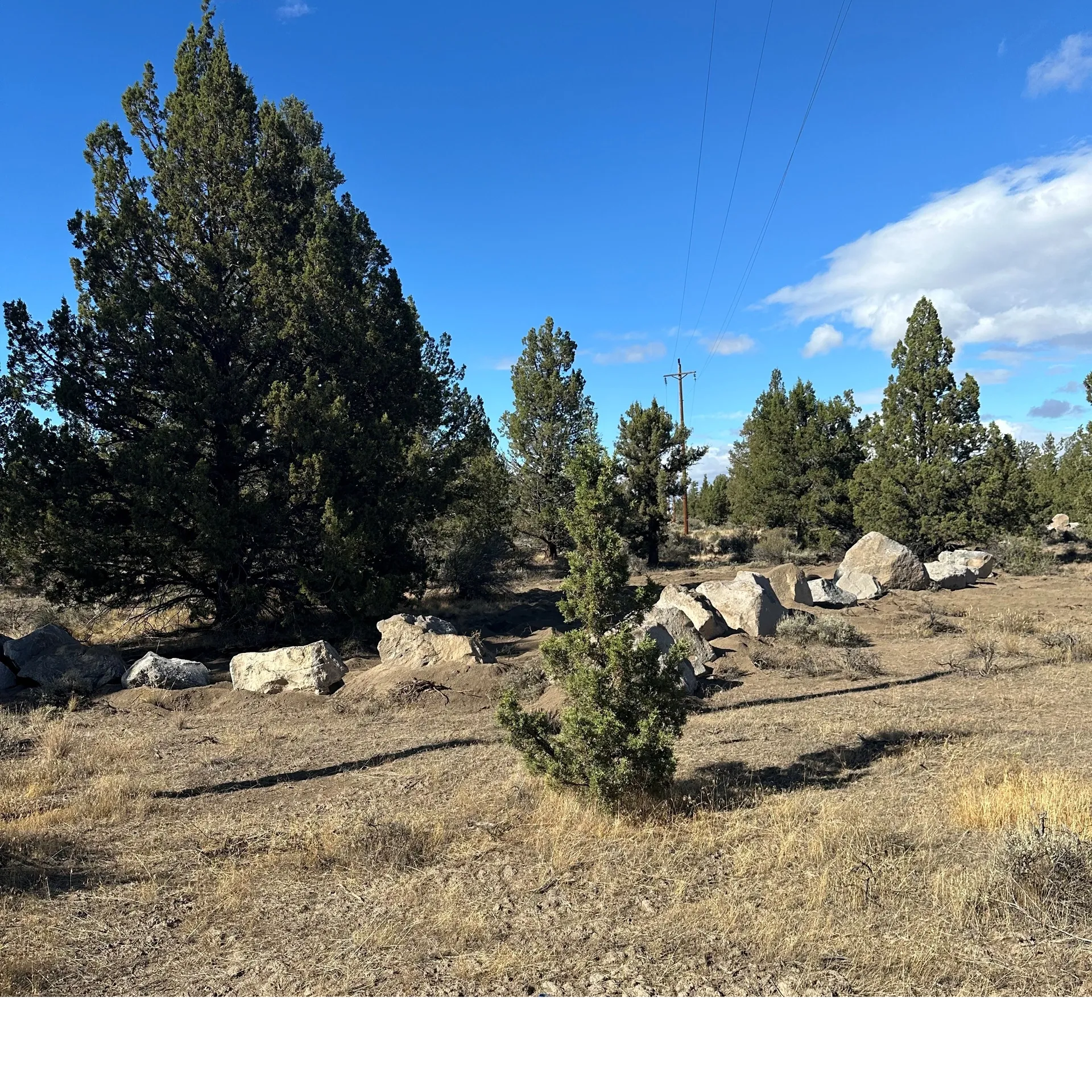Boulders delivered by Rimrock Ventures for a completed BLM project at Buckhorn Staging Area.