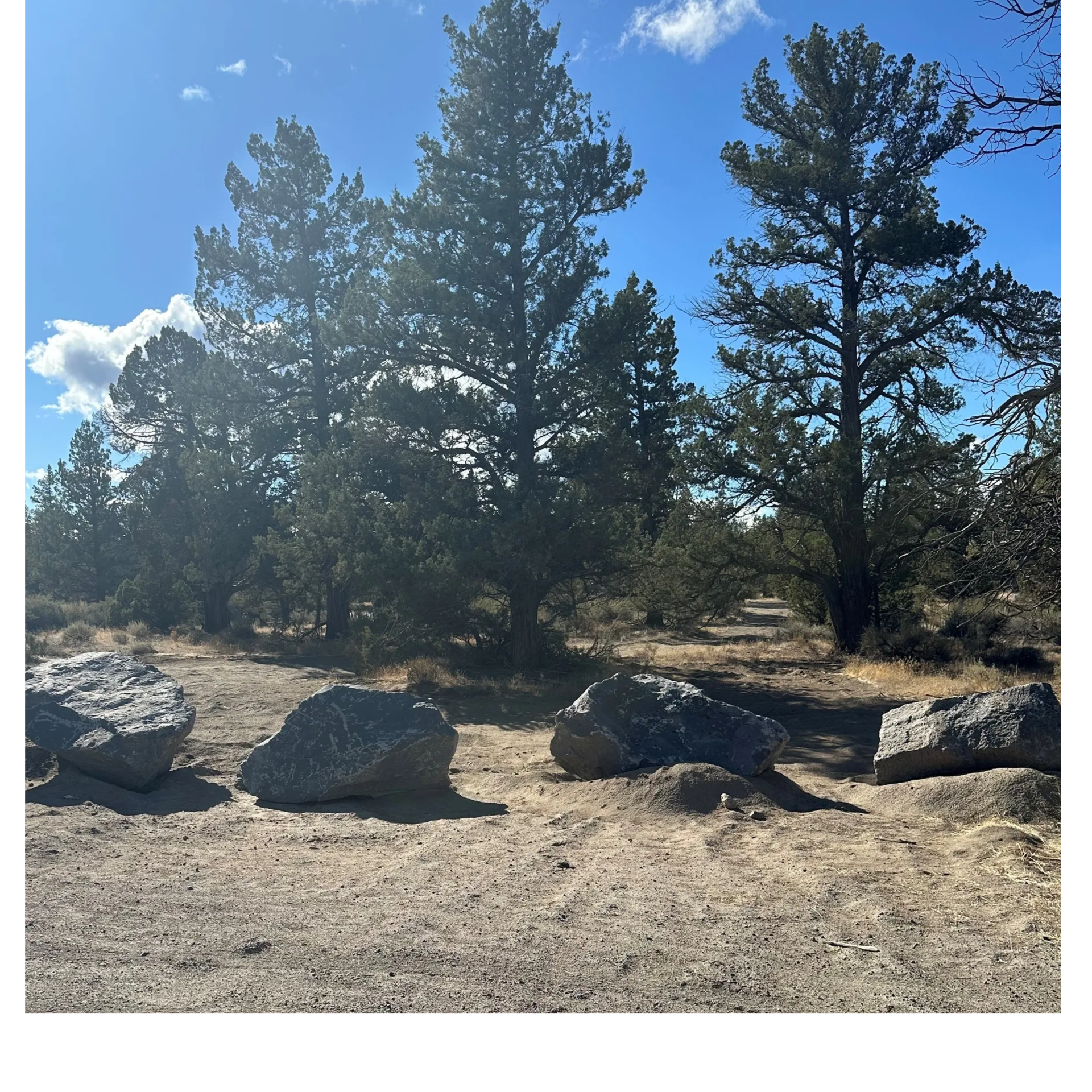 Boulders placed at Buckhorn Staging Area as part of a completed BLM procurement contract with Rimrock Ventures.