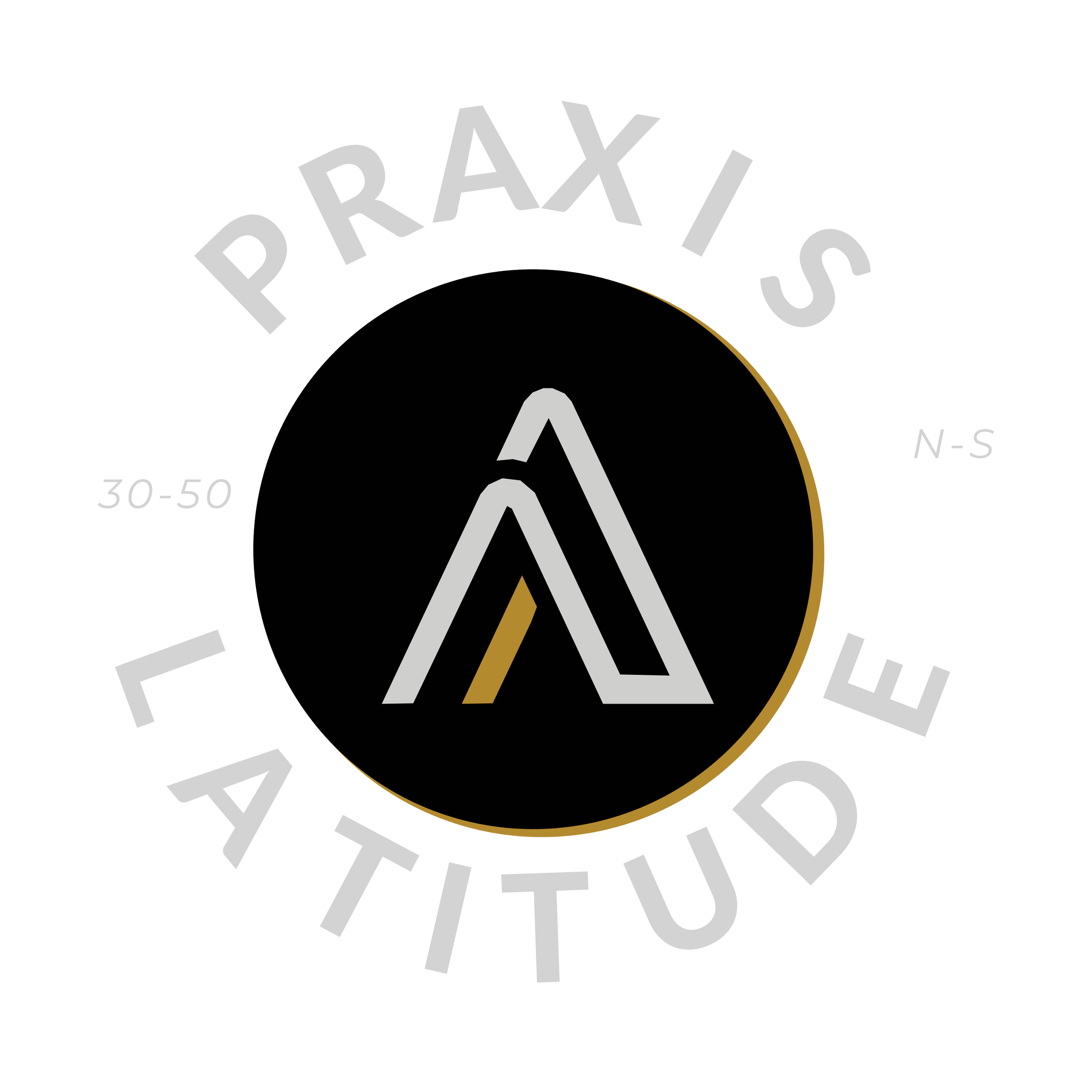 Praxis Latitude logo.