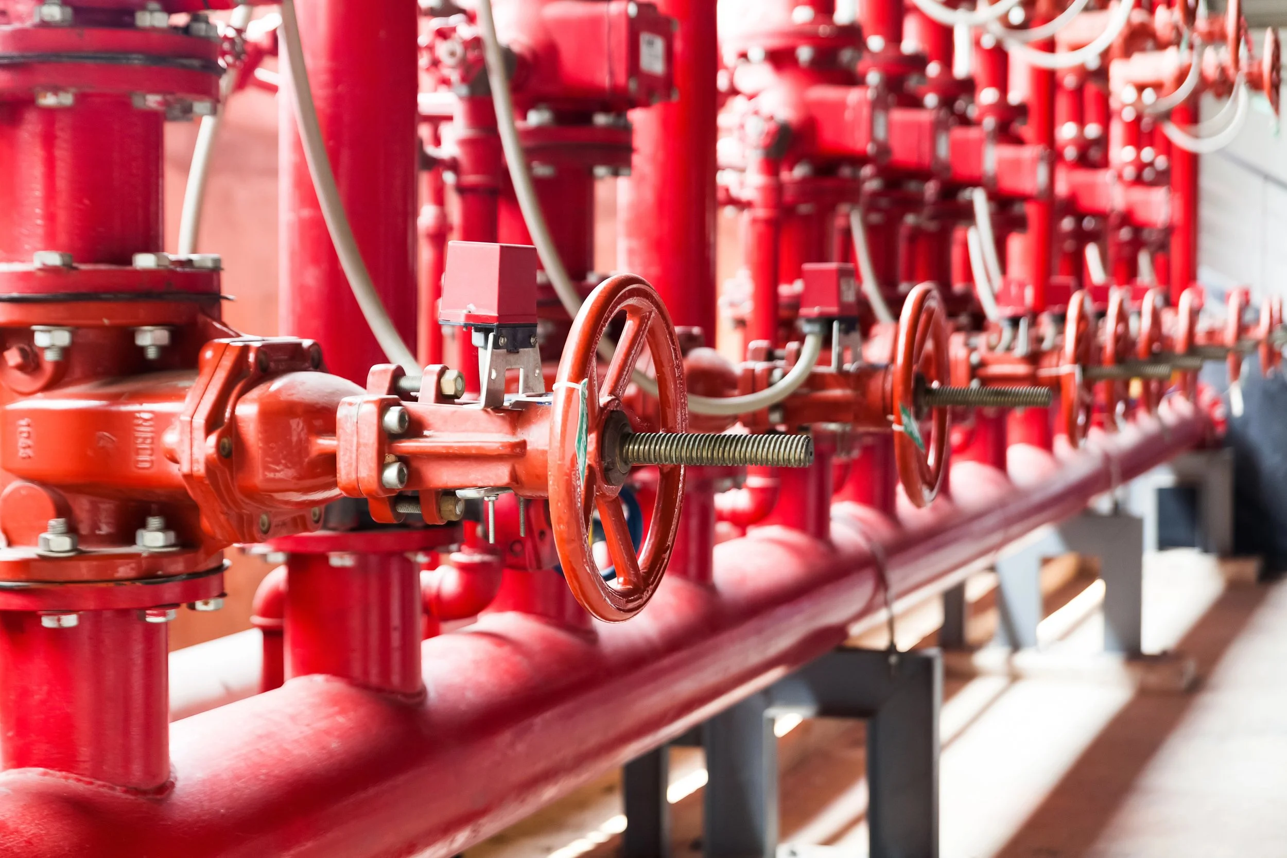 A row of red fire sprinklers connected to red pipes in a building's fire suppression system.