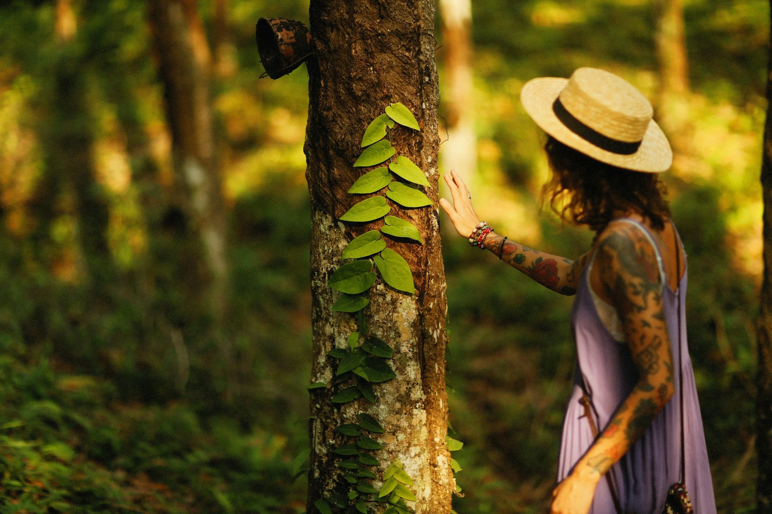 Woman with tattoos and a wide-brimmed straw hat with black band touching a tree trunk in a forest with green foliage.