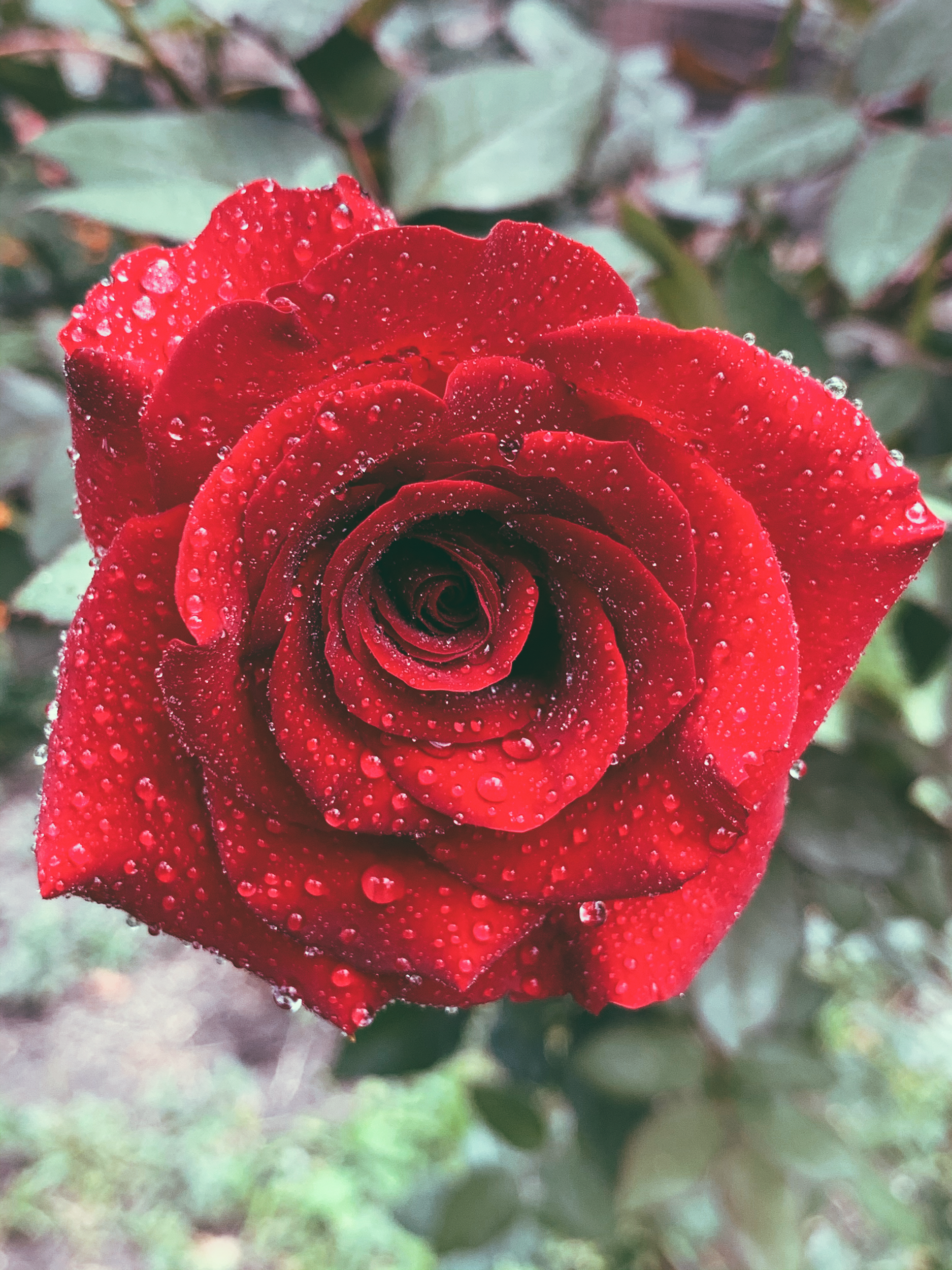 A Feminine Awakening Journey