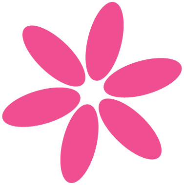 Pink flower with seven petals against a black background.
