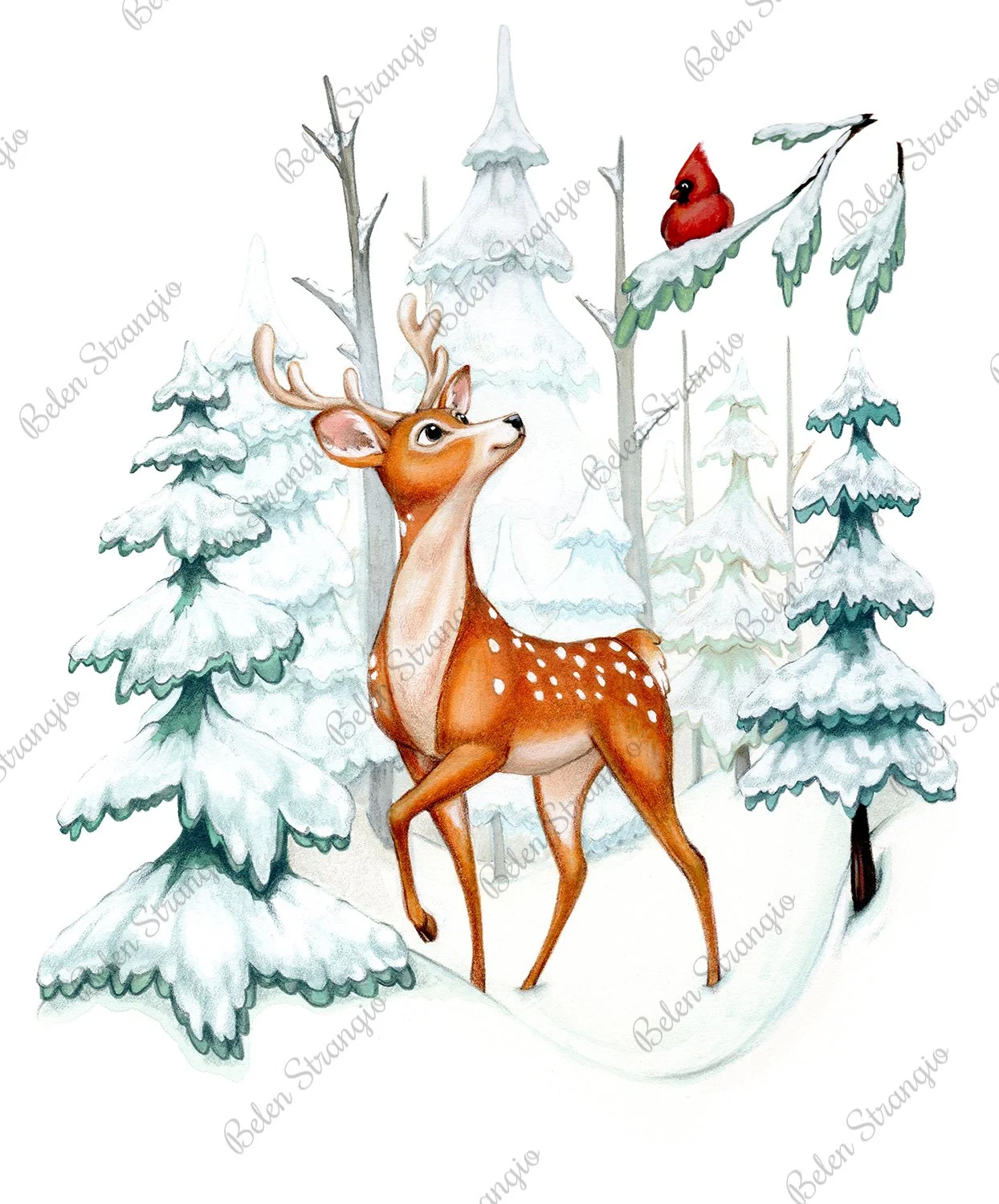 Deer_&_Cardinal_1500a.jpg