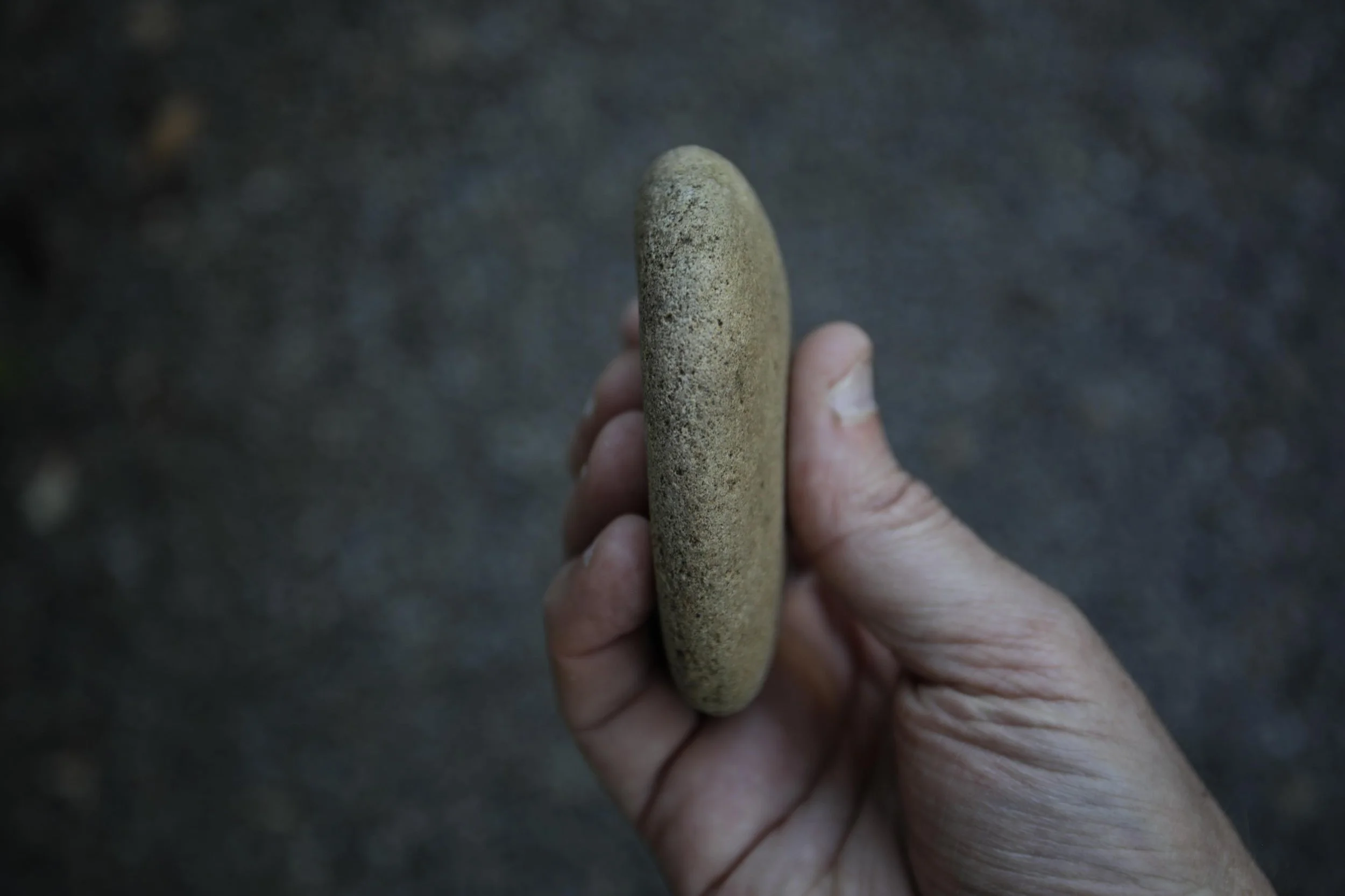 _O5A0742.jpg
