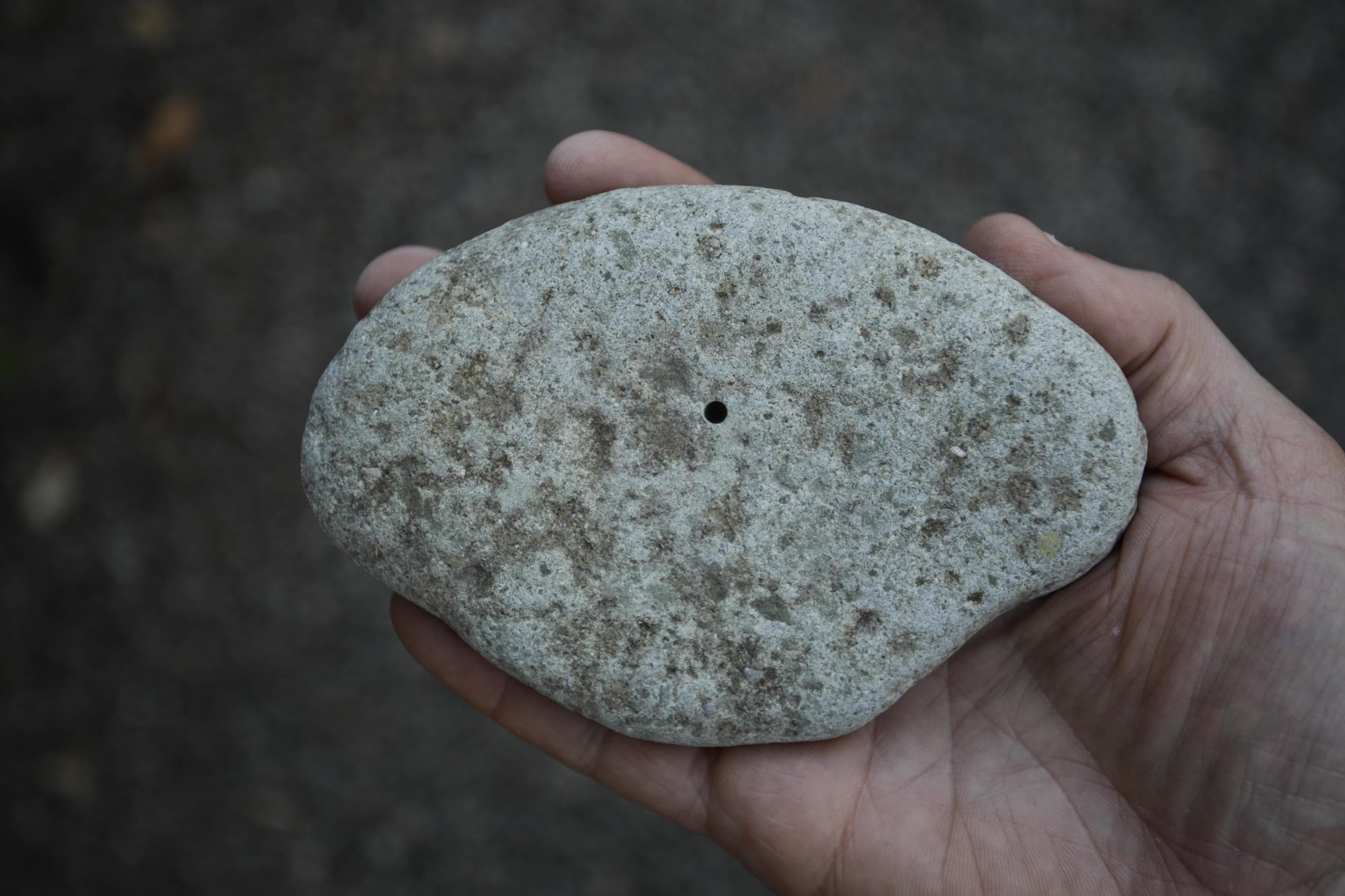 _O5A0759.jpg