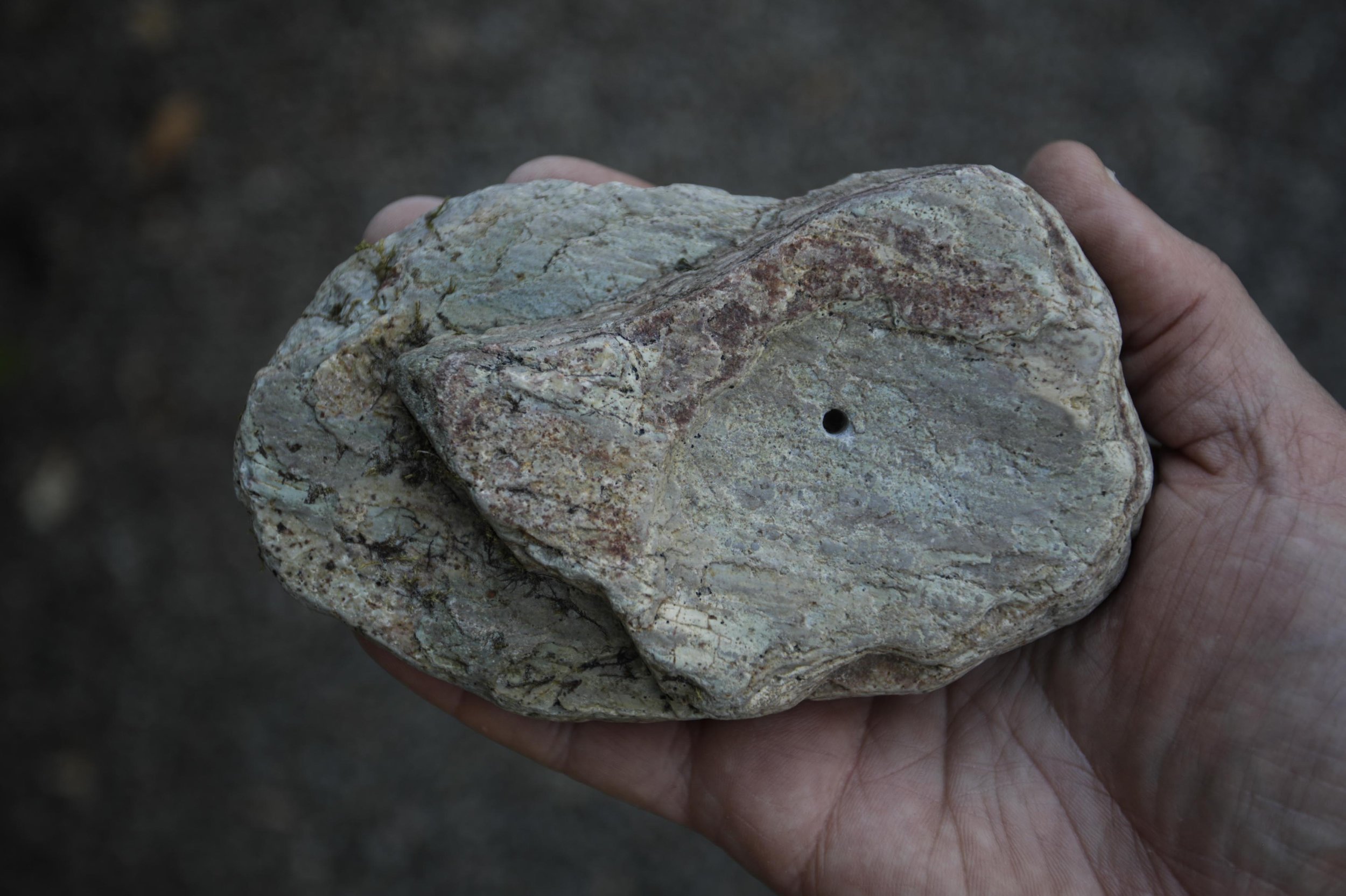 _O5A0767.jpg