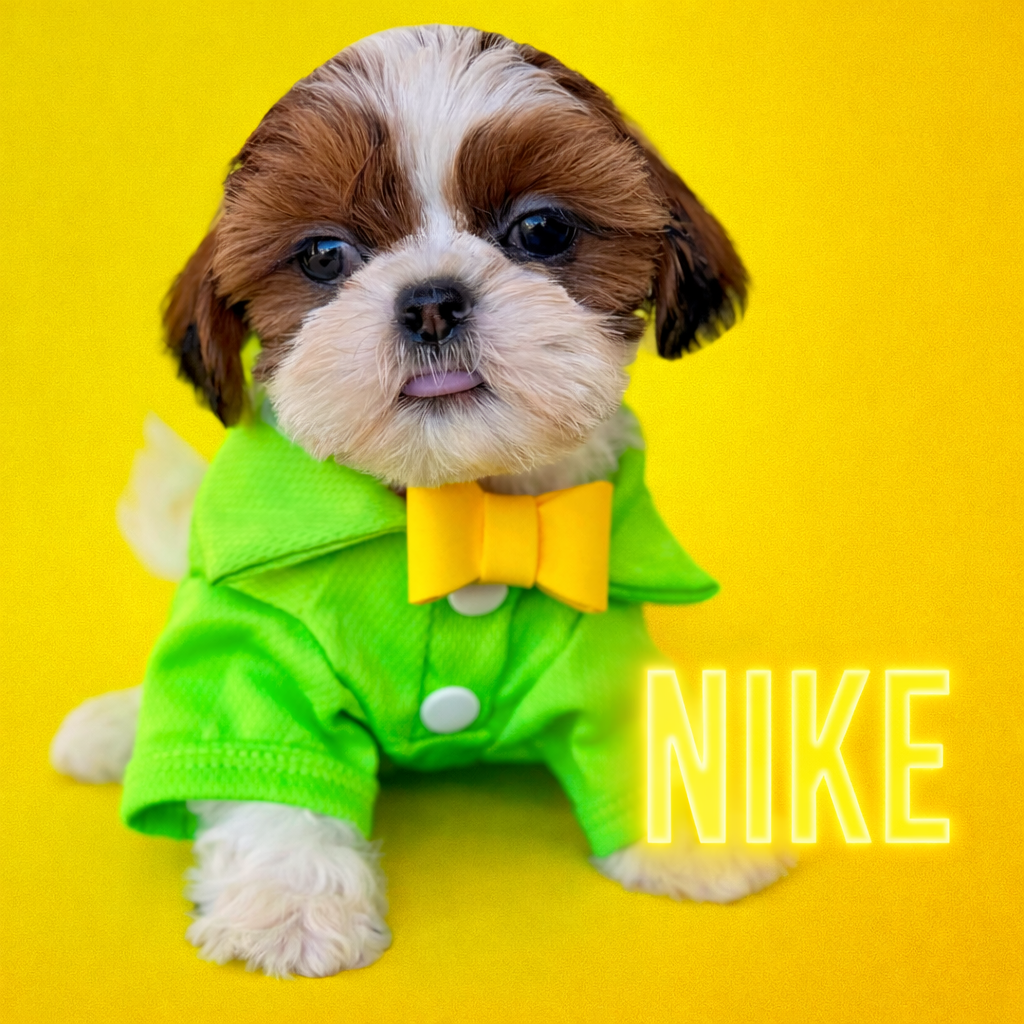 Adorable puppy dressed in a bright green outfit with a yellow bow tie, sitting on a yellow background, with the word 'NIKE' glowing in yellow.