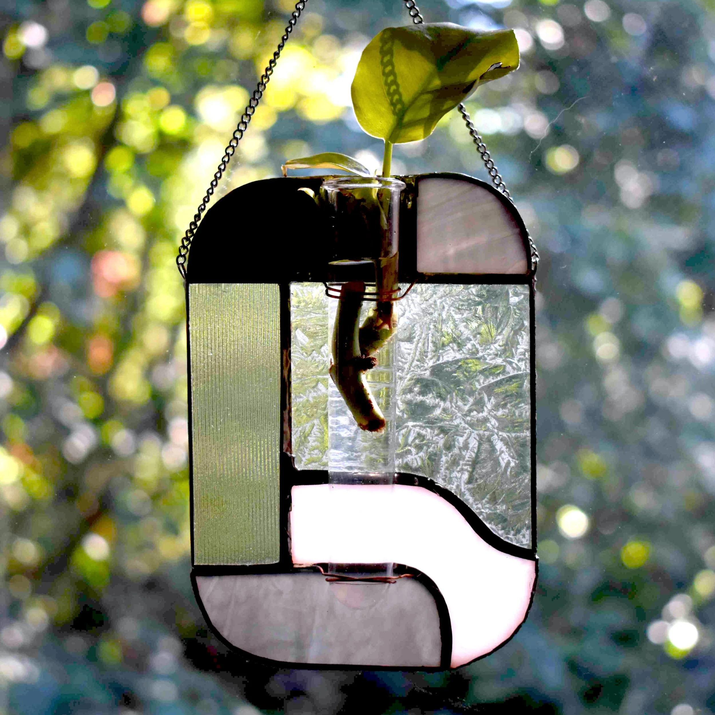 DSC_0493.png