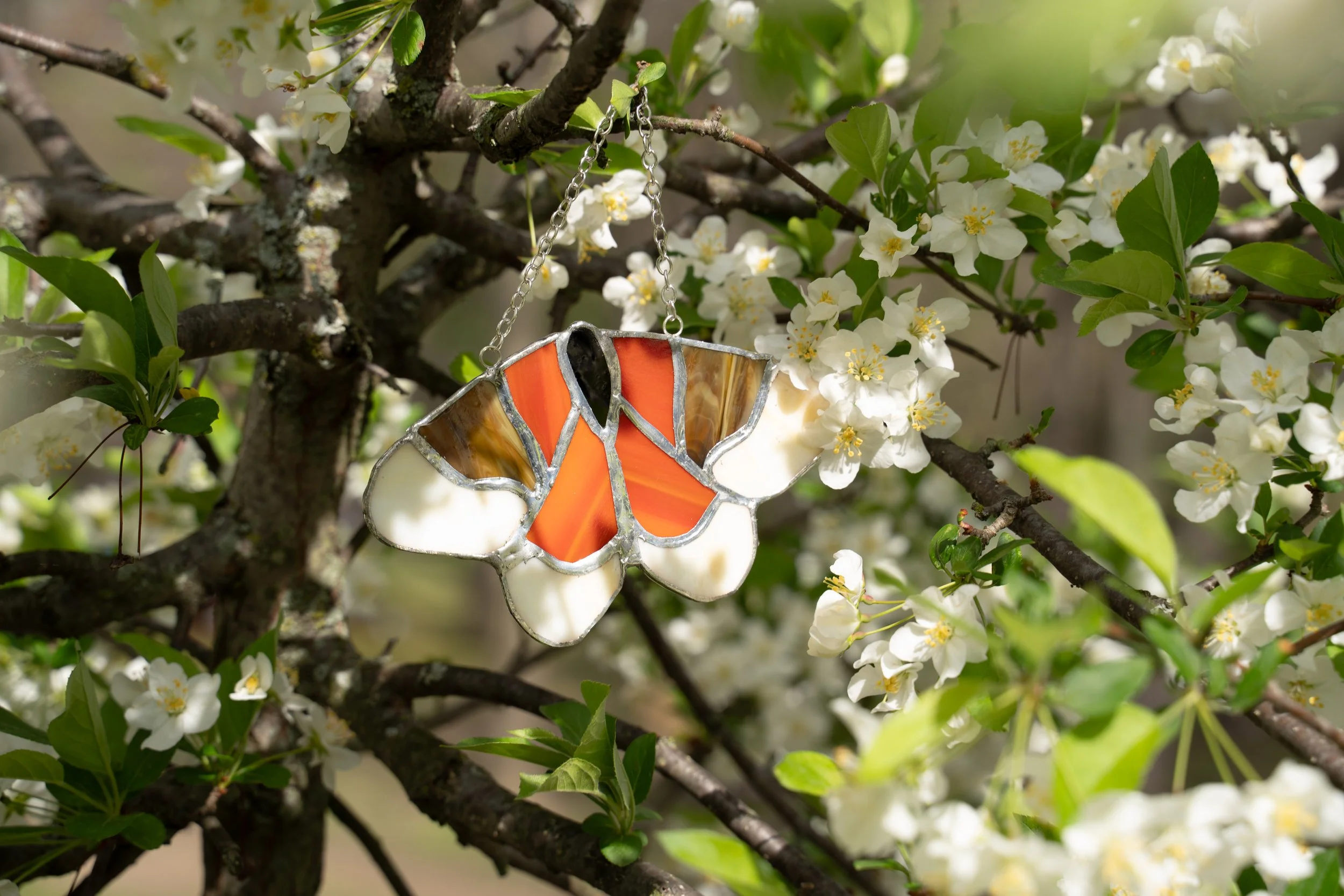 Moth Suncatcher