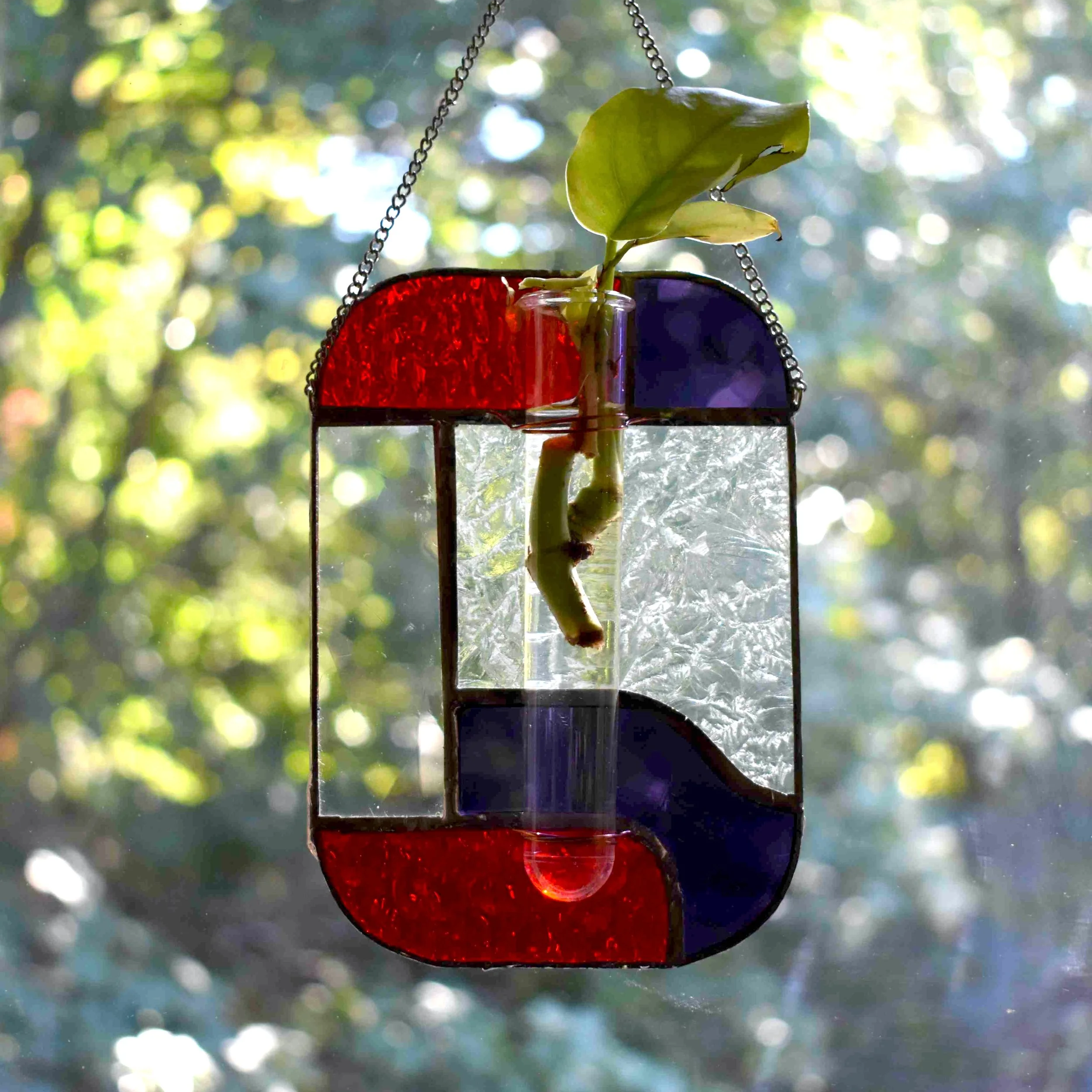 DSC_0486.png