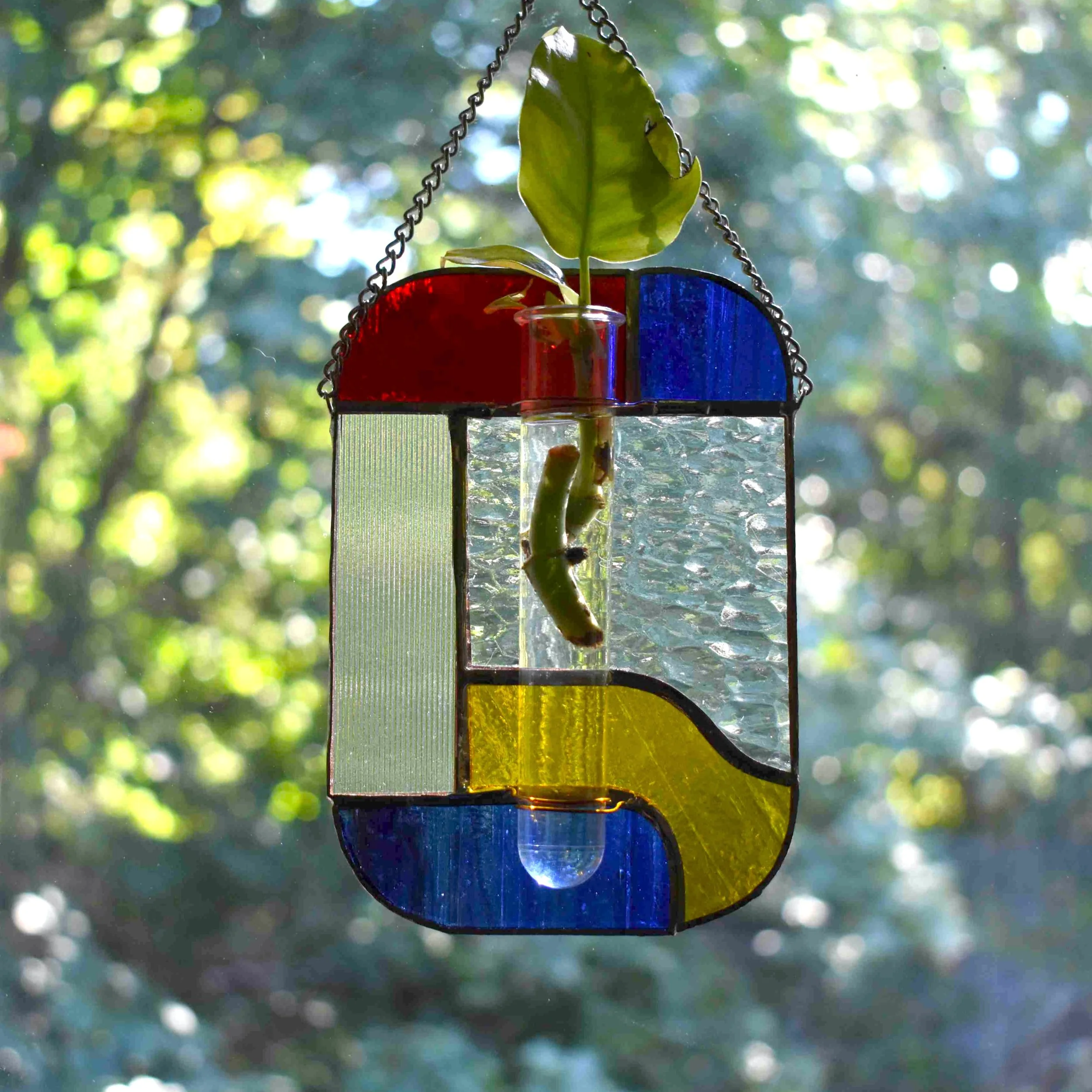 DSC_0488.png